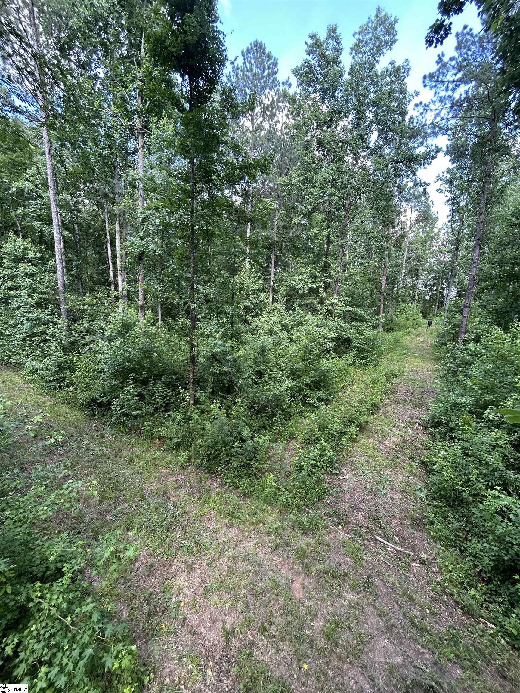 2318 Beaver Dam Creek Road Property Photo 16
