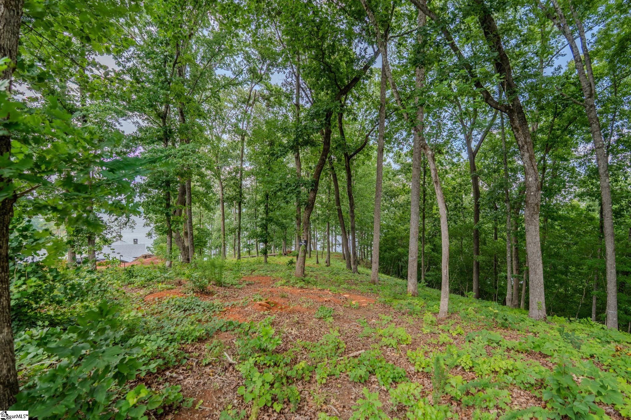 233 Sandy Hollow Court Property Photo 9