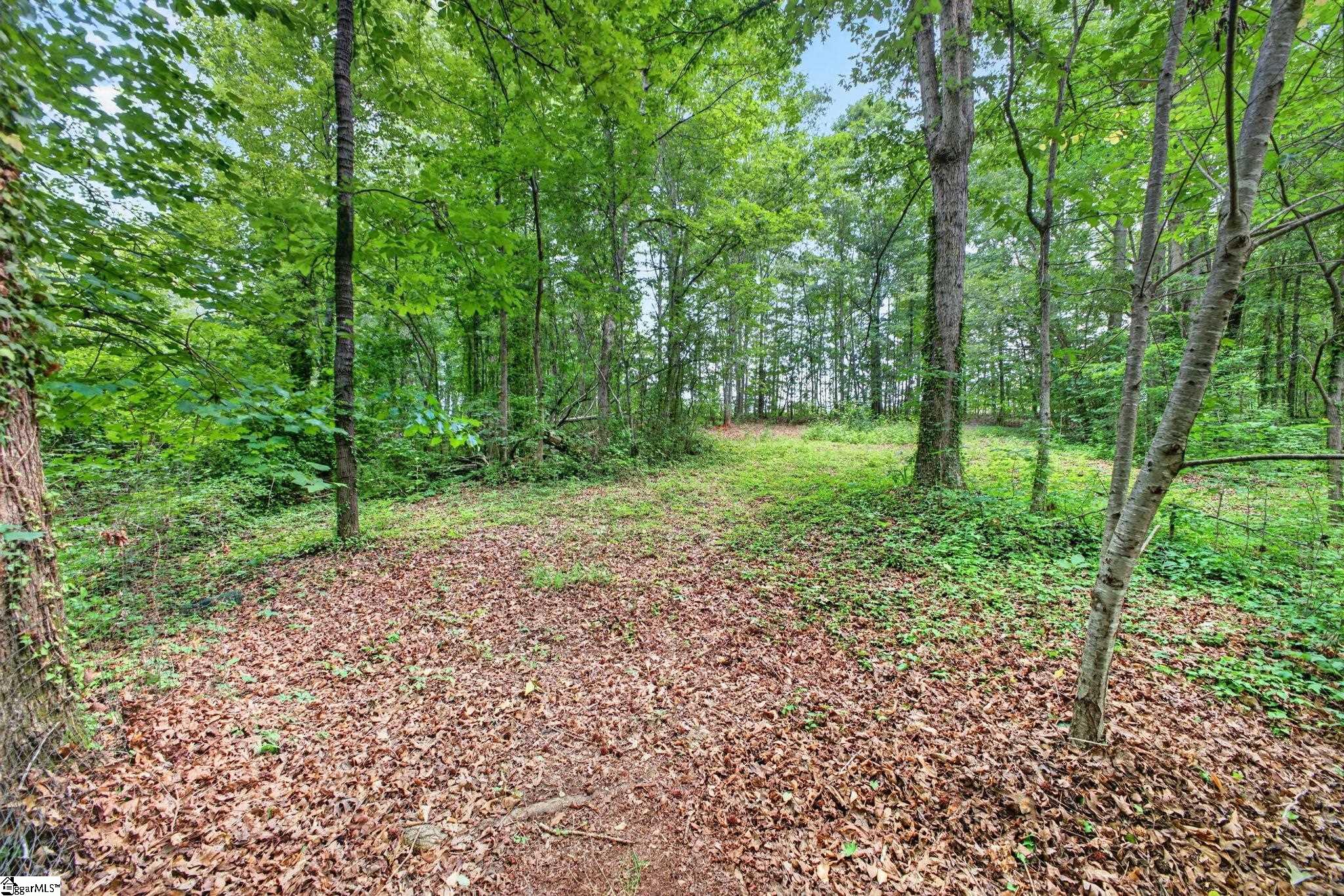 769 Cool Creek Drive Property Photo 49