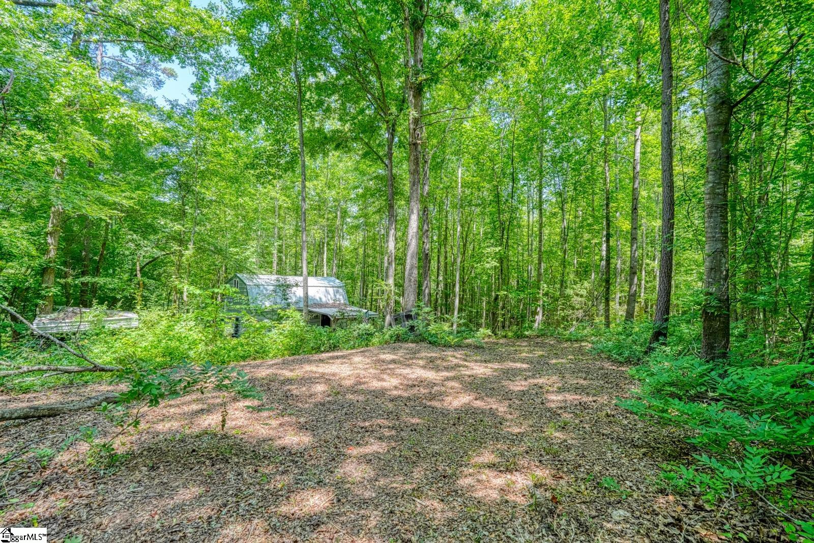 0 Long Branch Road Property Photo 3