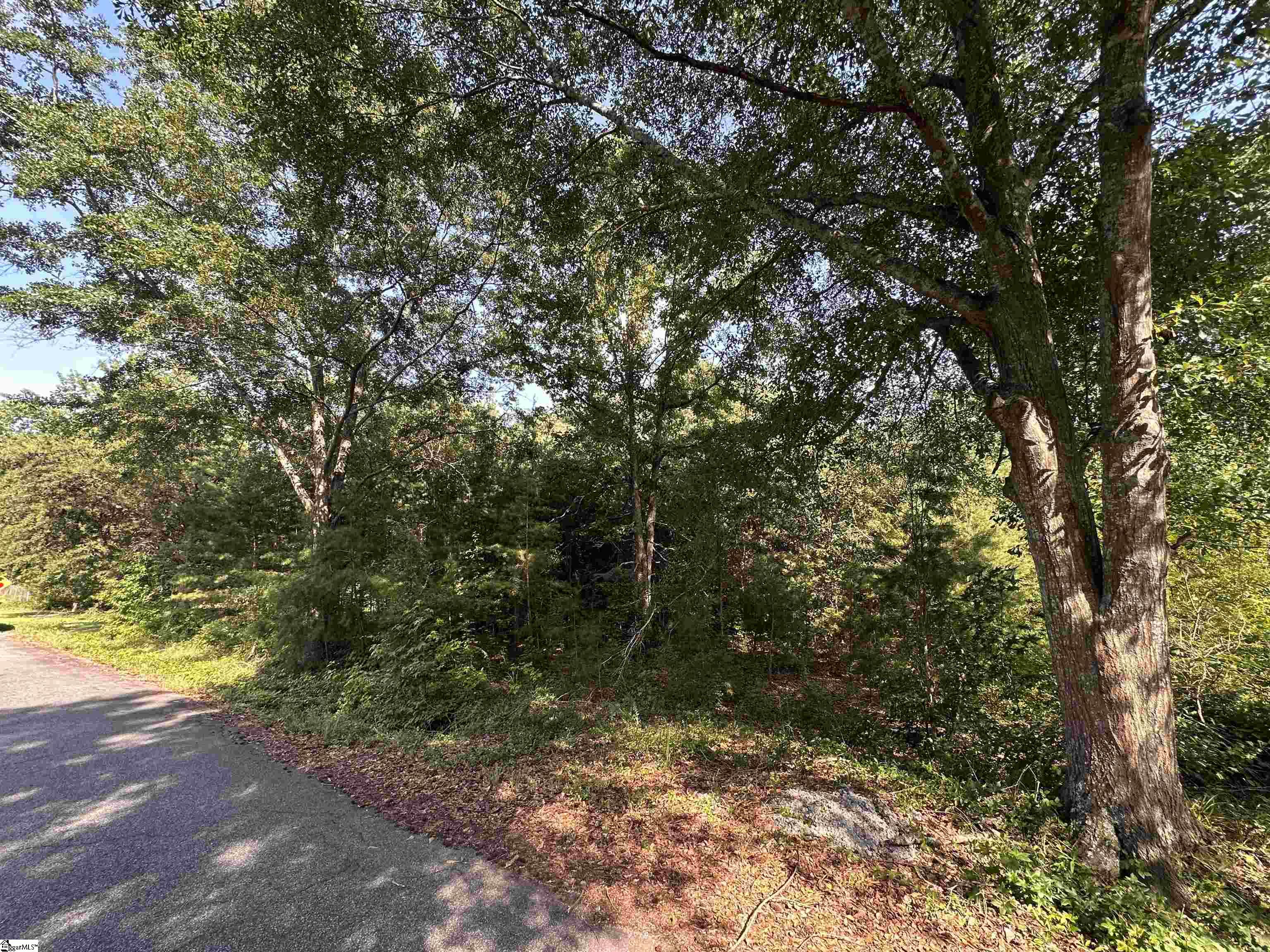 00 Carswell Drive Property Photo 3
