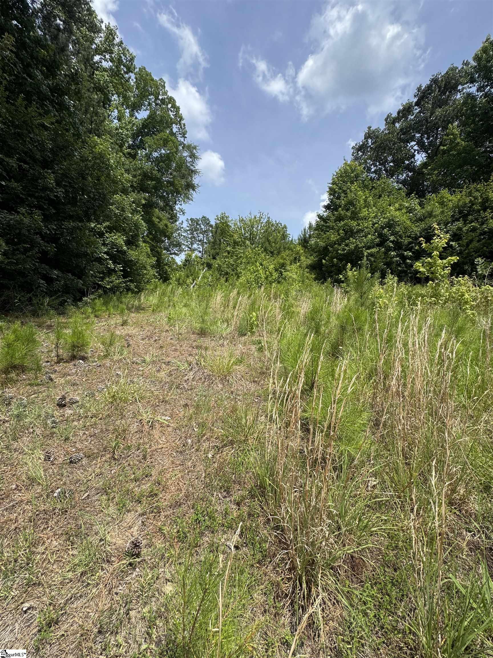 659 Dovefield Road Property Photo 4