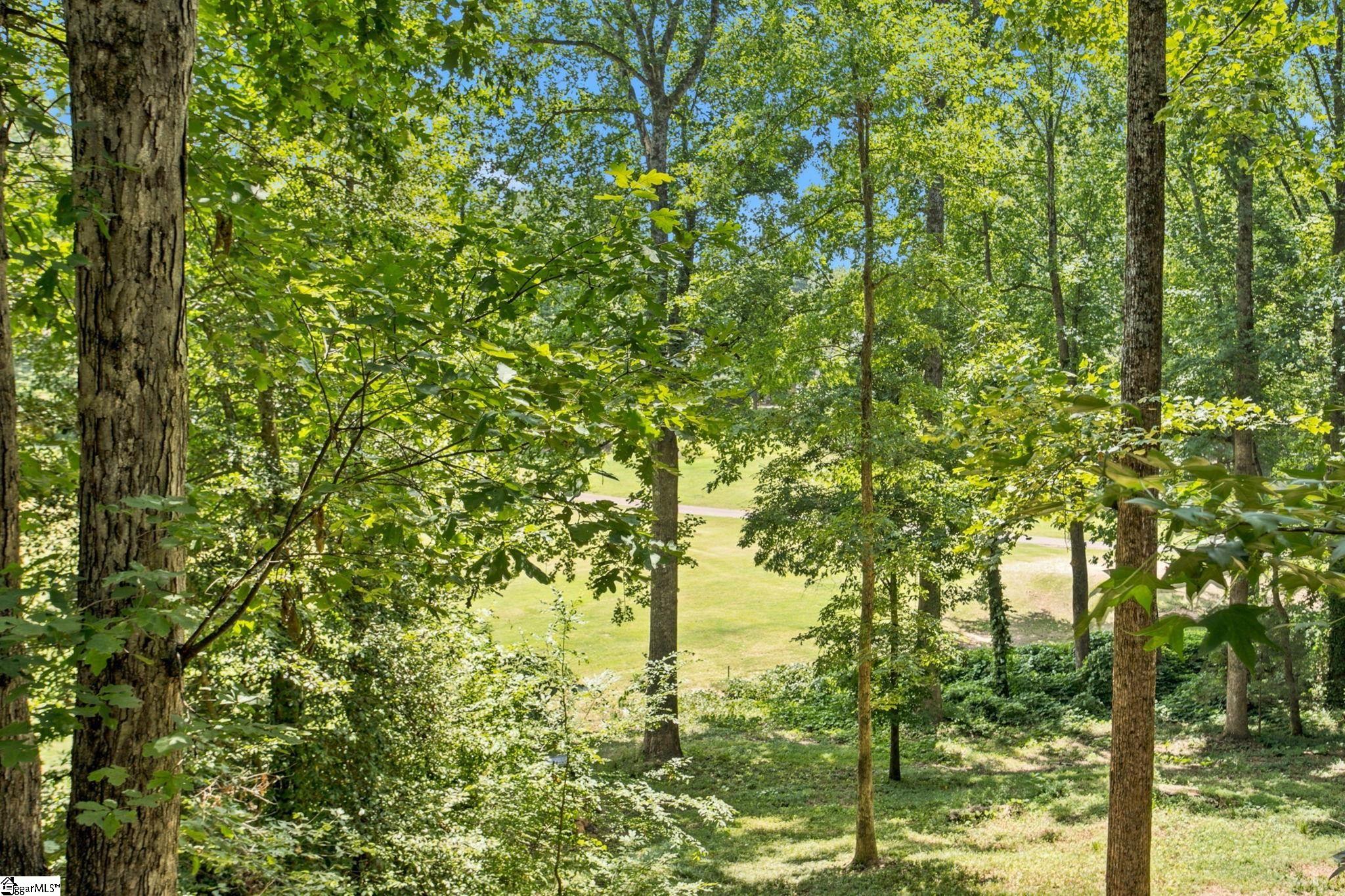108 Whittlin Way Property Photo 37