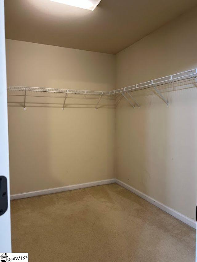 38 Golden Acre Court Property Photo 20
