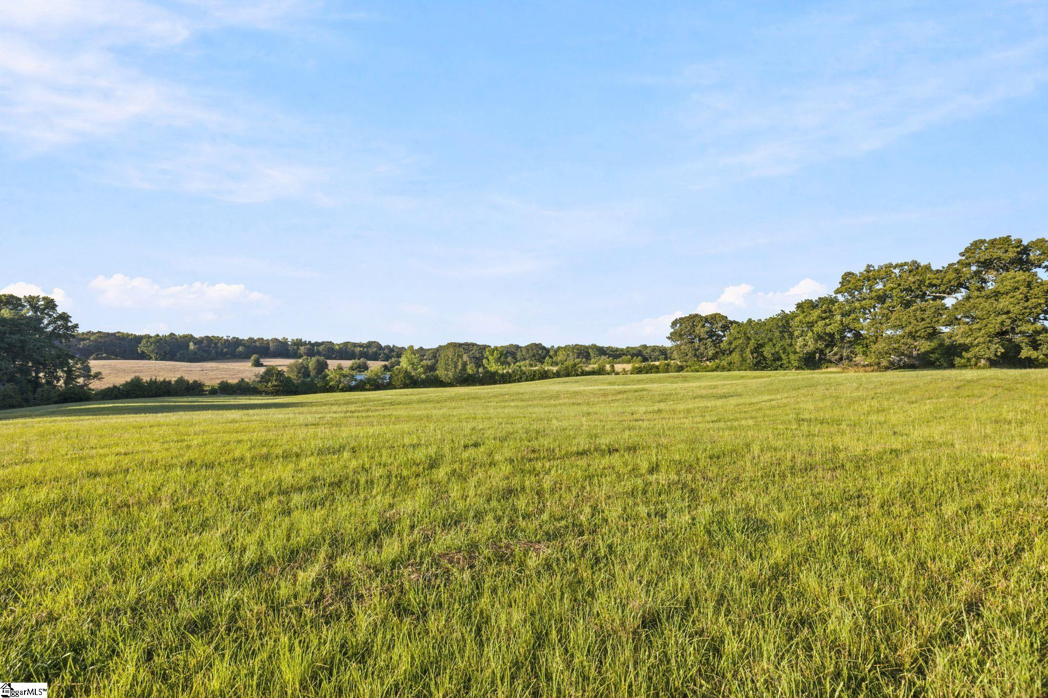 00 Indian Mound Road Property Photo 6
