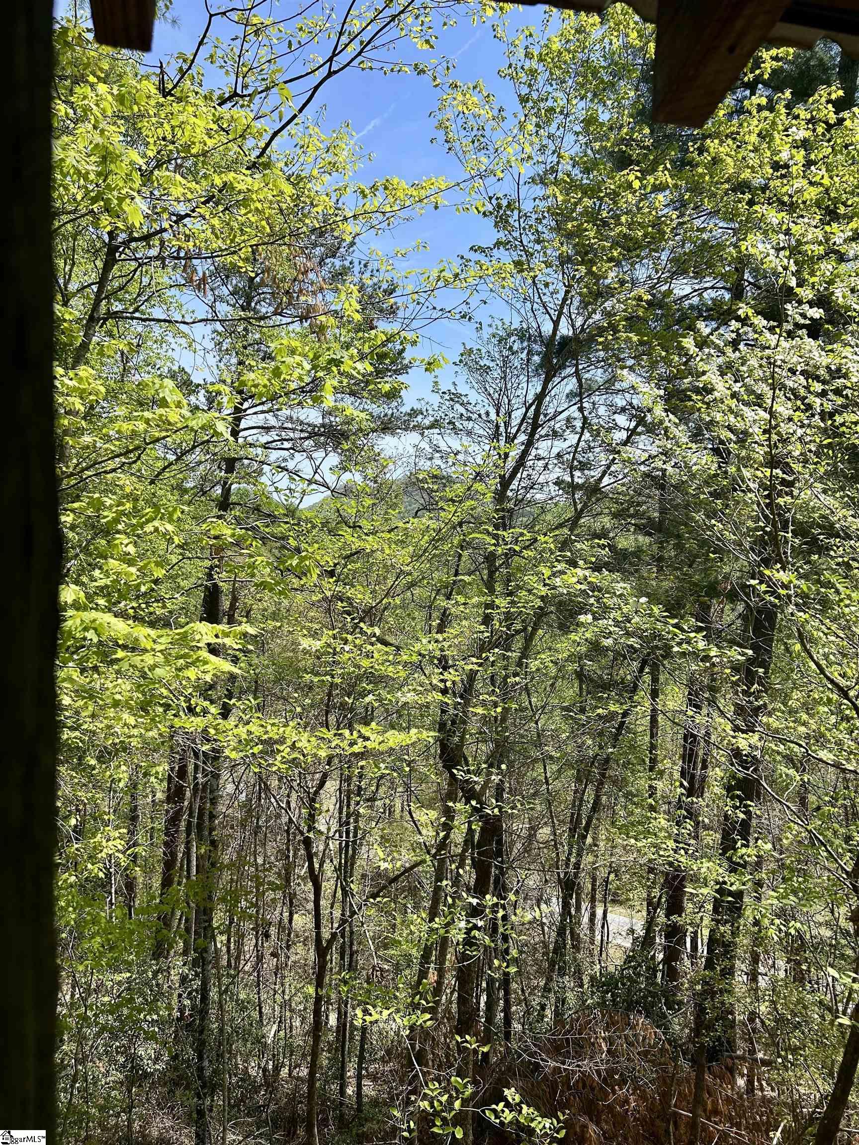 107 Brendart Hill Road Property Photo 27
