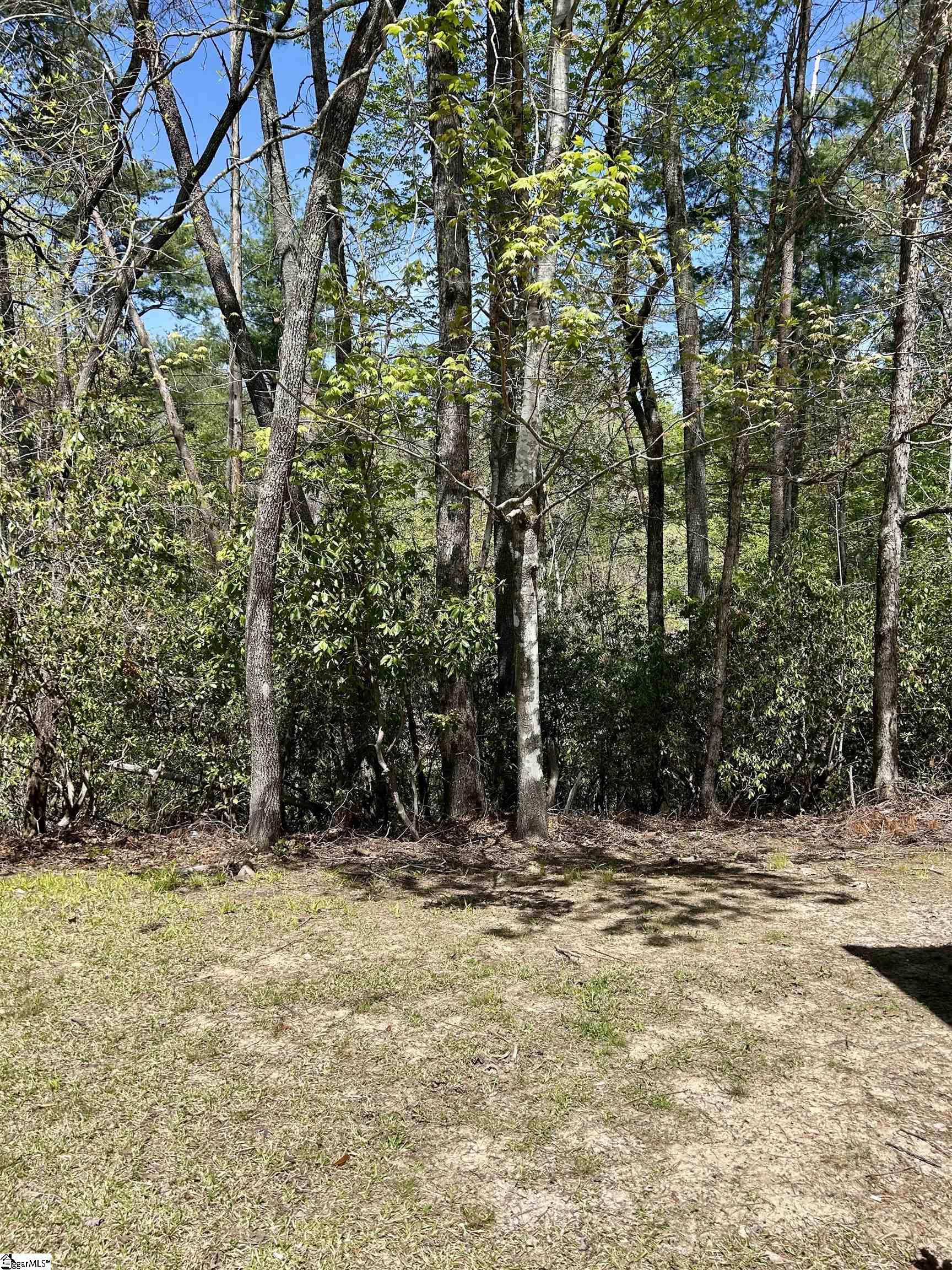 107 Brendart Hill Road Property Photo 29