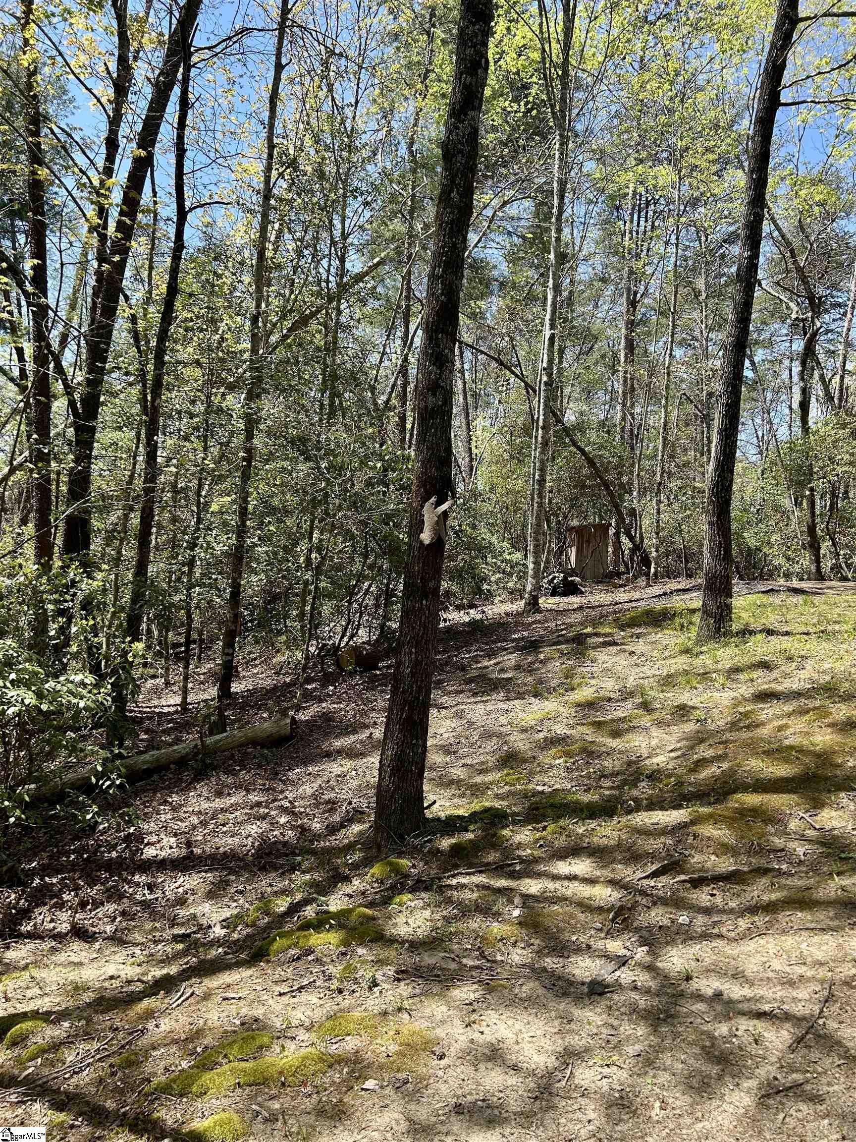 107 Brendart Hill Road Property Photo 32