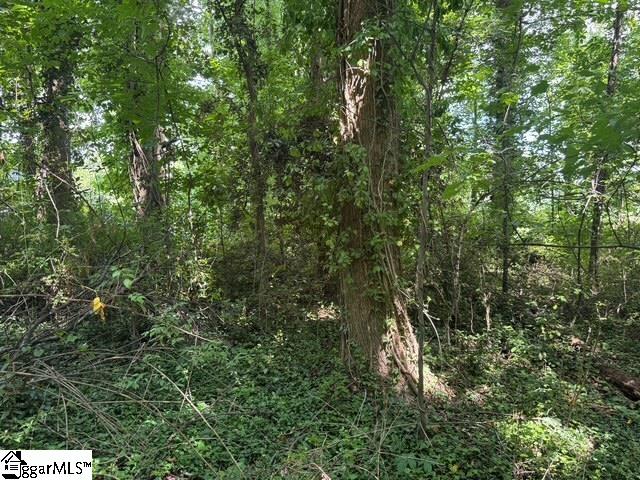 Cone Street Property Photo 11