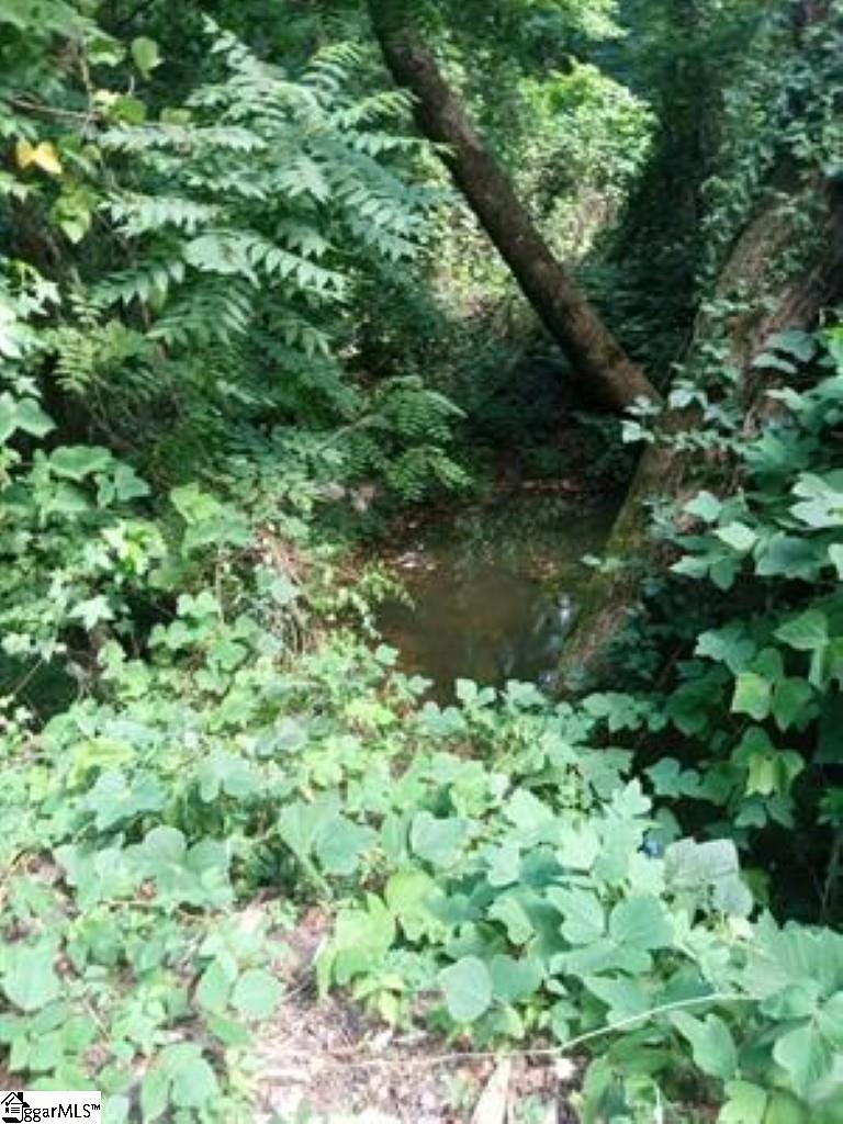 0 Cole Road Property Photo 6