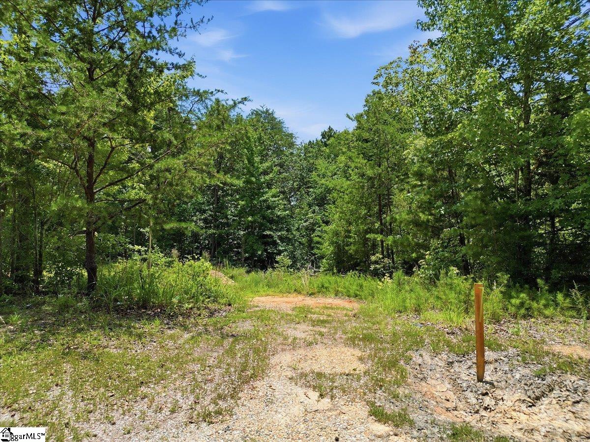 00 Peacefull Valley Road Property Photo 12