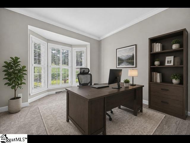 507 Spaulding Lake Drive Property Photo 19