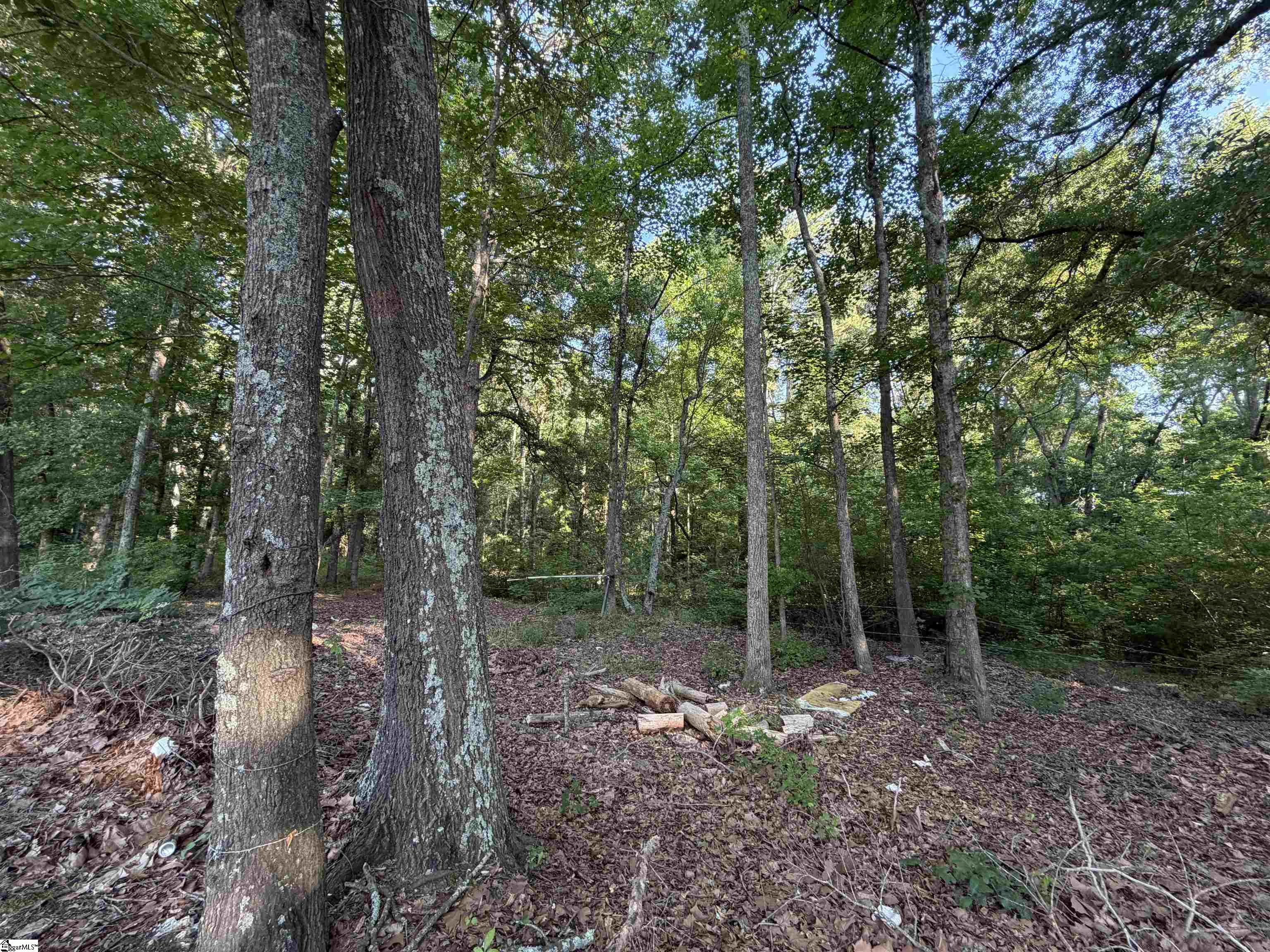 744 Chapman Road Property Photo 10