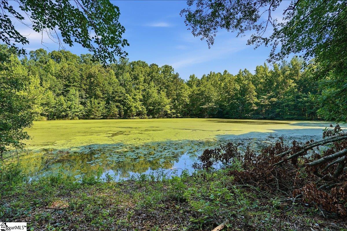 3006 Harris Bridge Road Property Photo 2