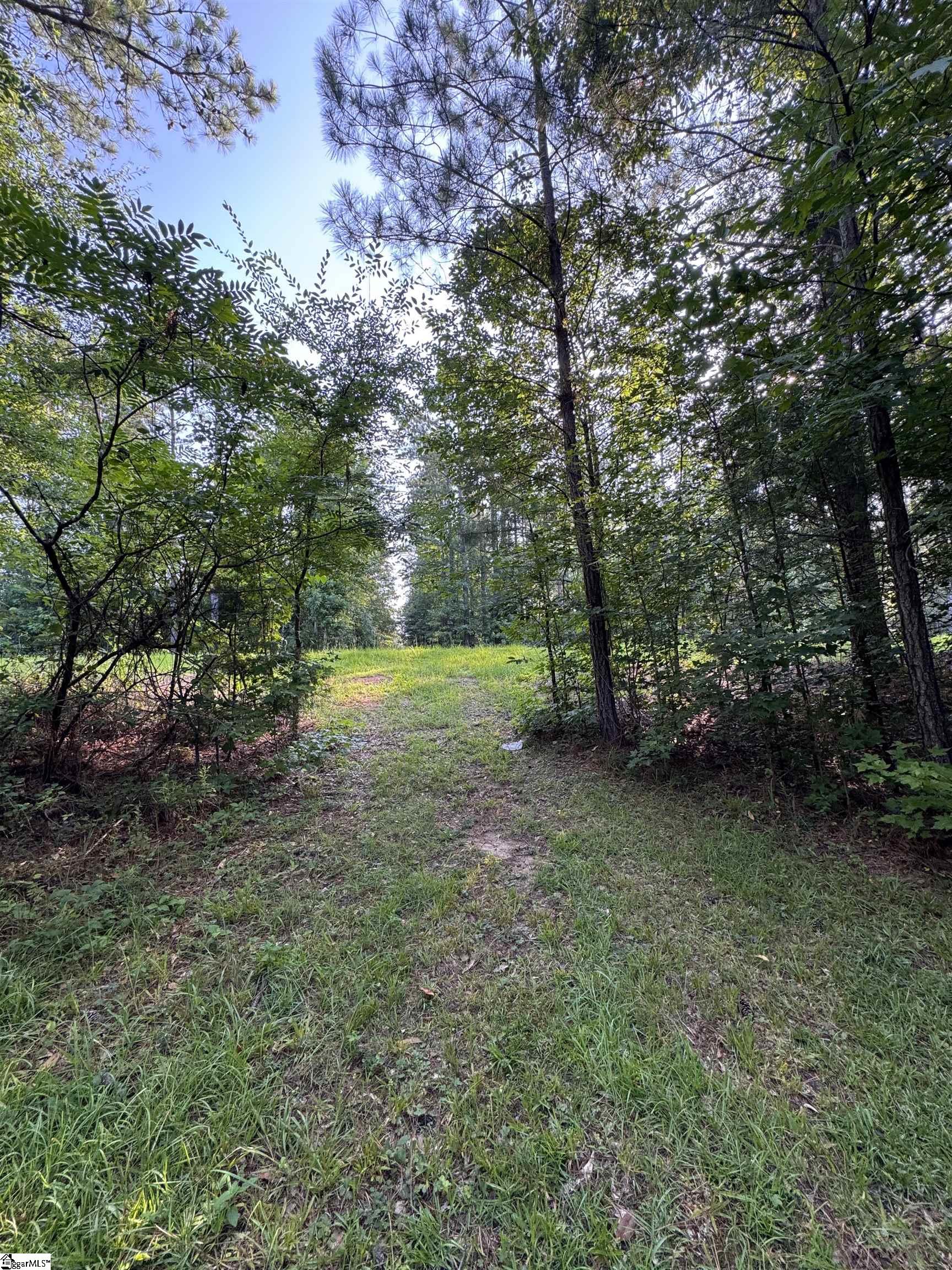 890 Dunklin Bridge Road Property Photo 2