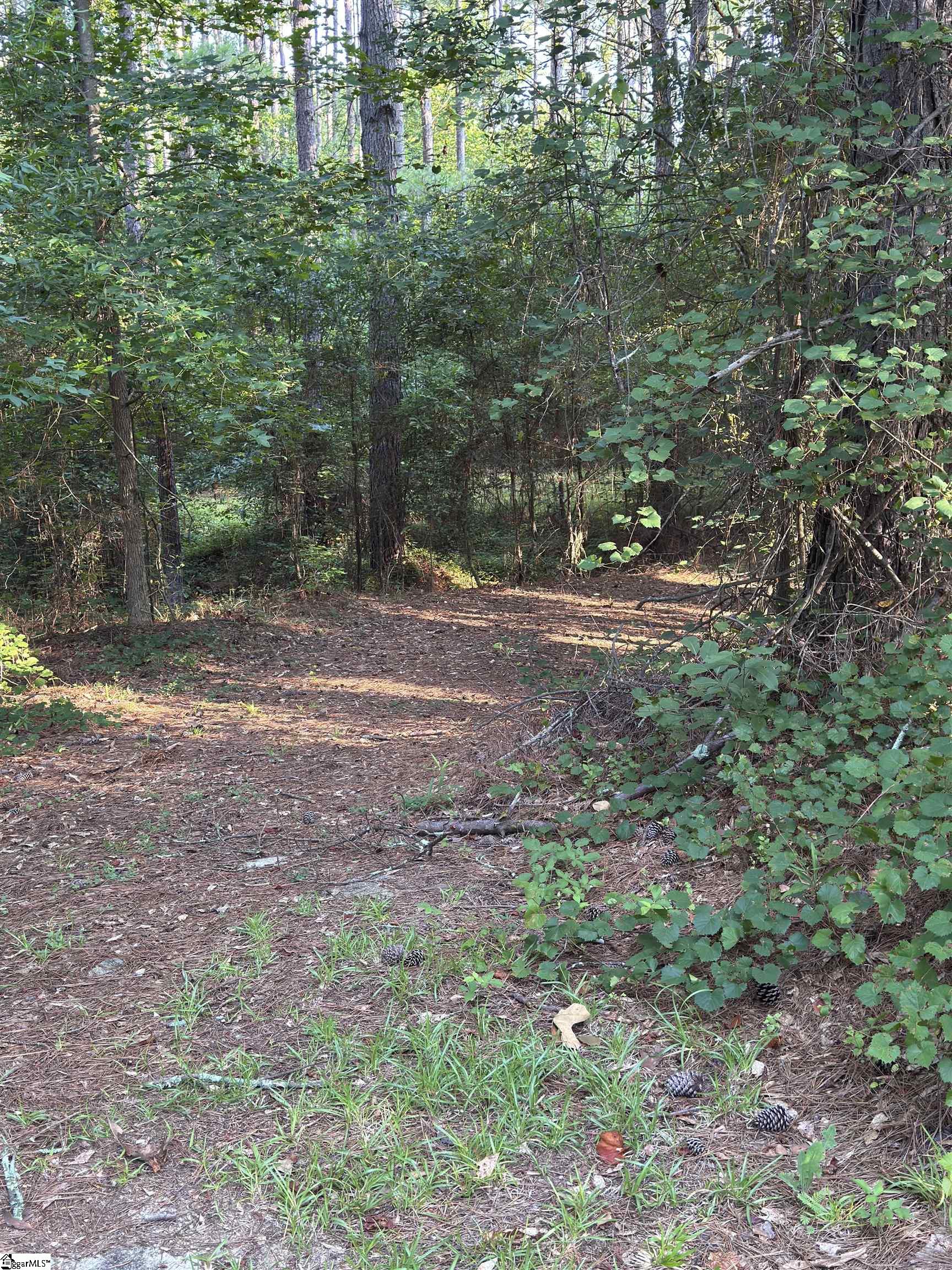 890 Dunklin Bridge Road Property Photo 3