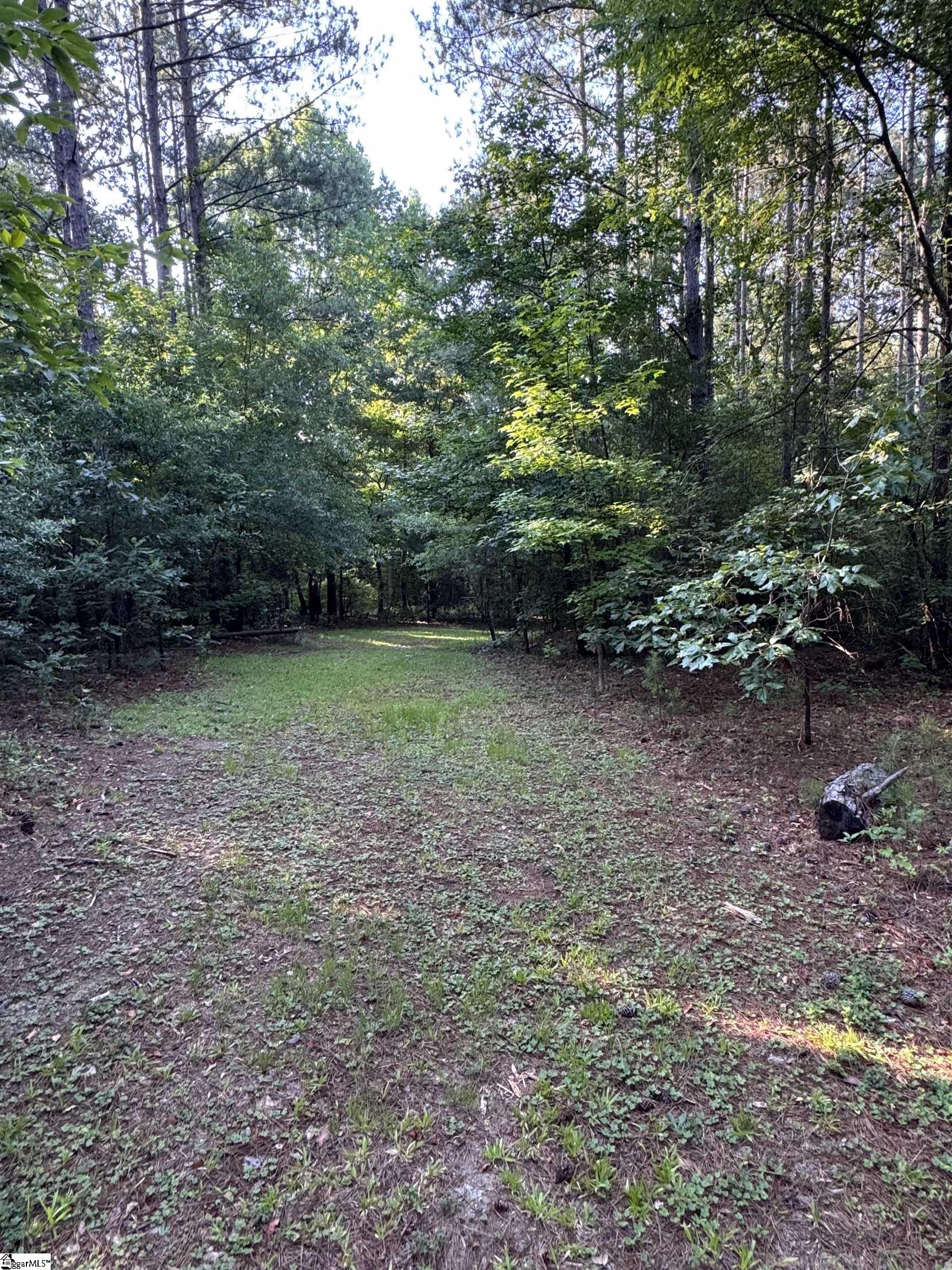 890 Dunklin Bridge Road Property Photo 4