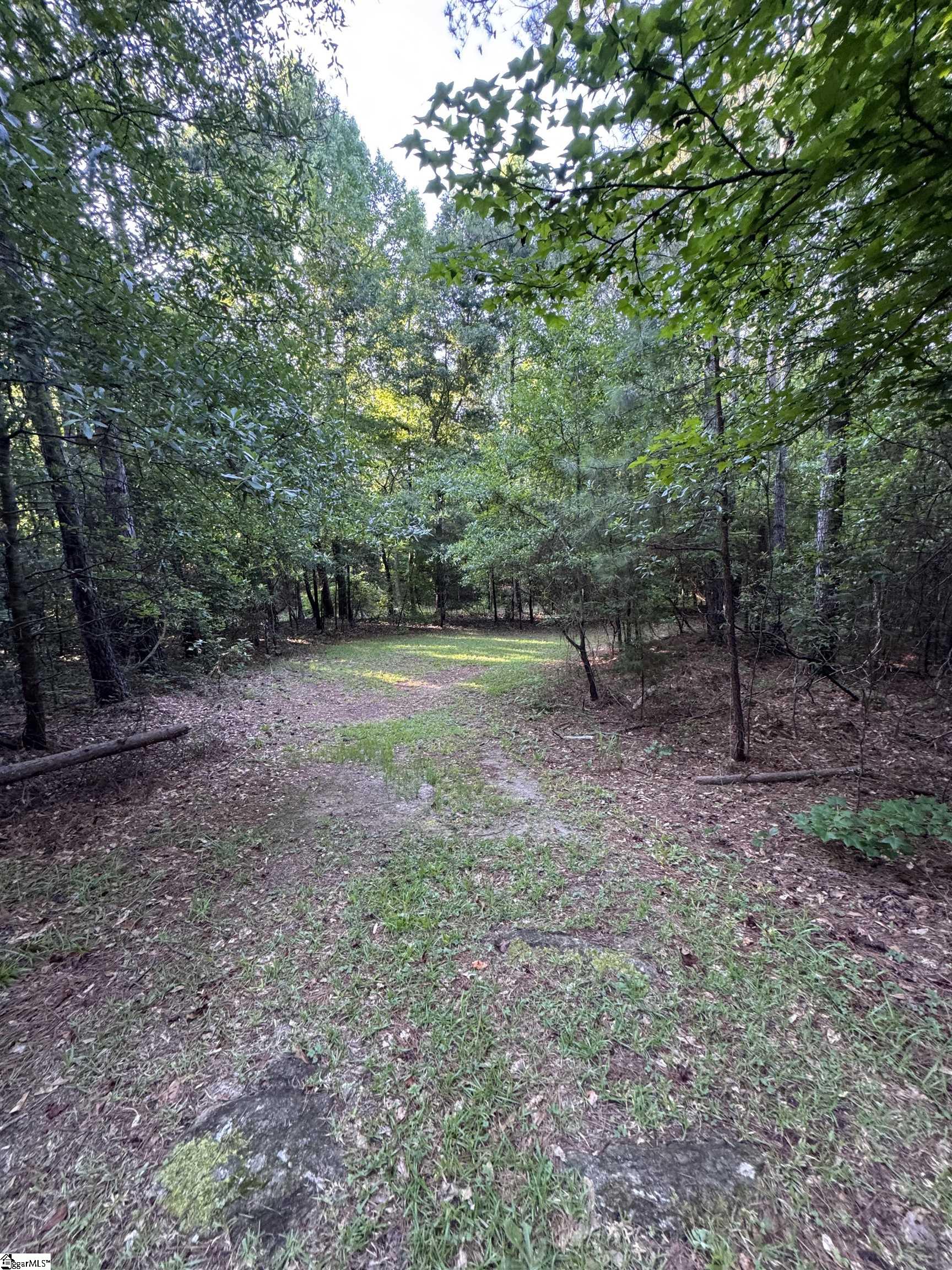 890 Dunklin Bridge Road Property Photo 5