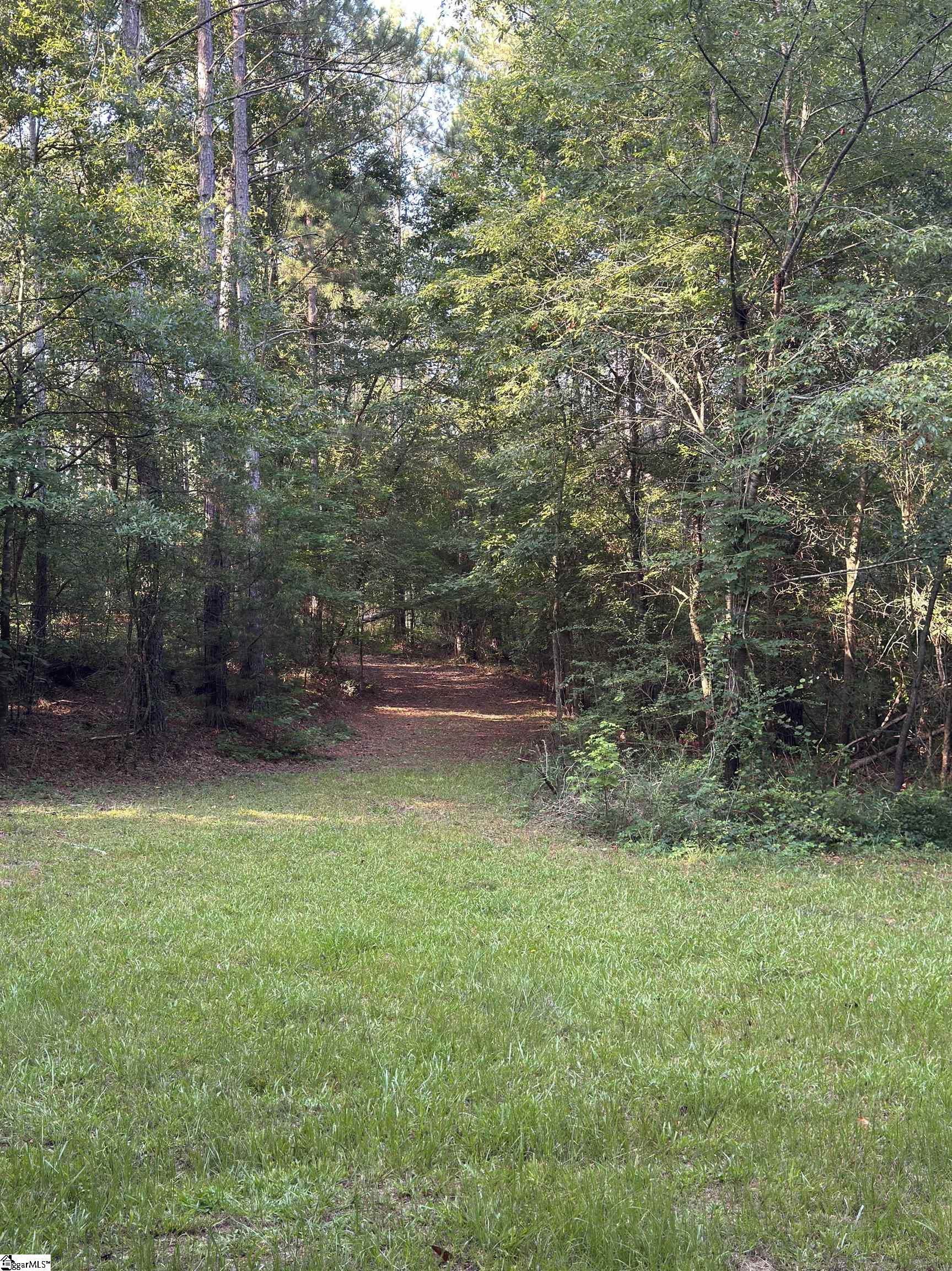 890 Dunklin Bridge Road Property Photo 7