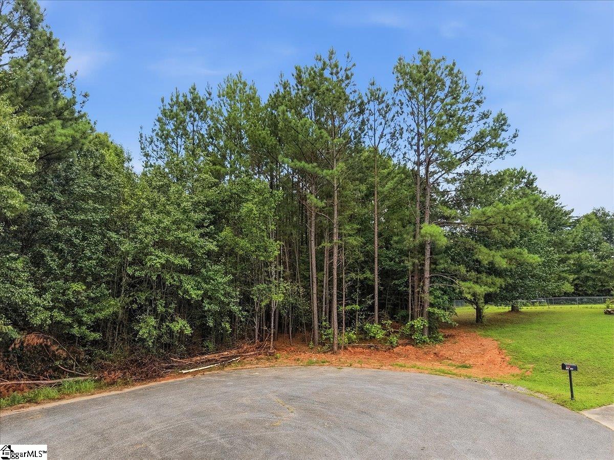 0 E Fowler Farm Road Property Photo 3