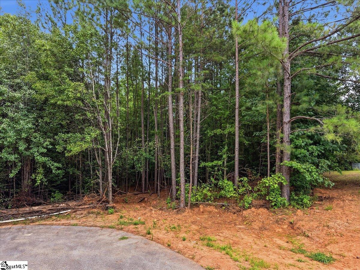 0 E Fowler Farm Road Property Photo 4