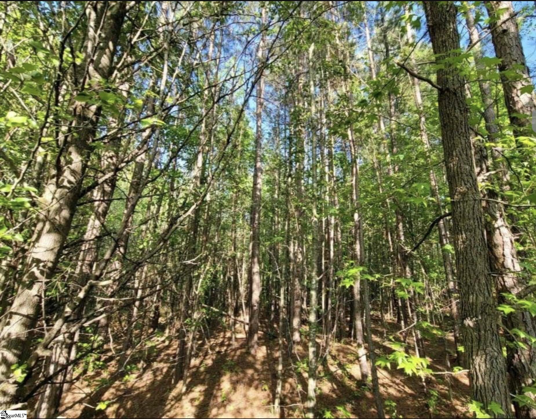 0 E Fowler Farm Road Property Photo 5