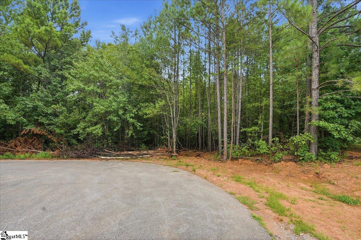 0 E Fowler Farm Road Property Photo 6
