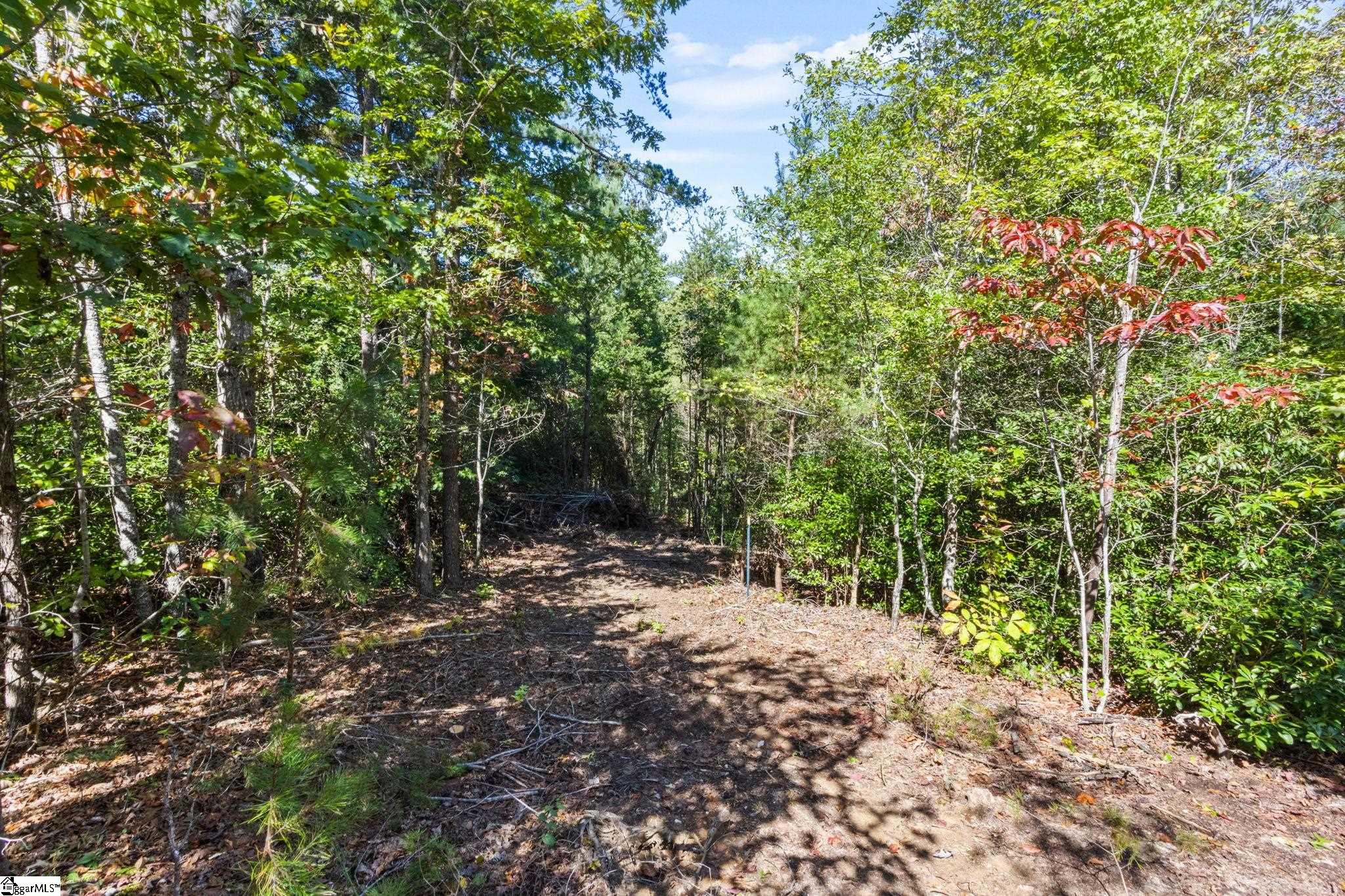 313 Arledge Road Property Photo 16
