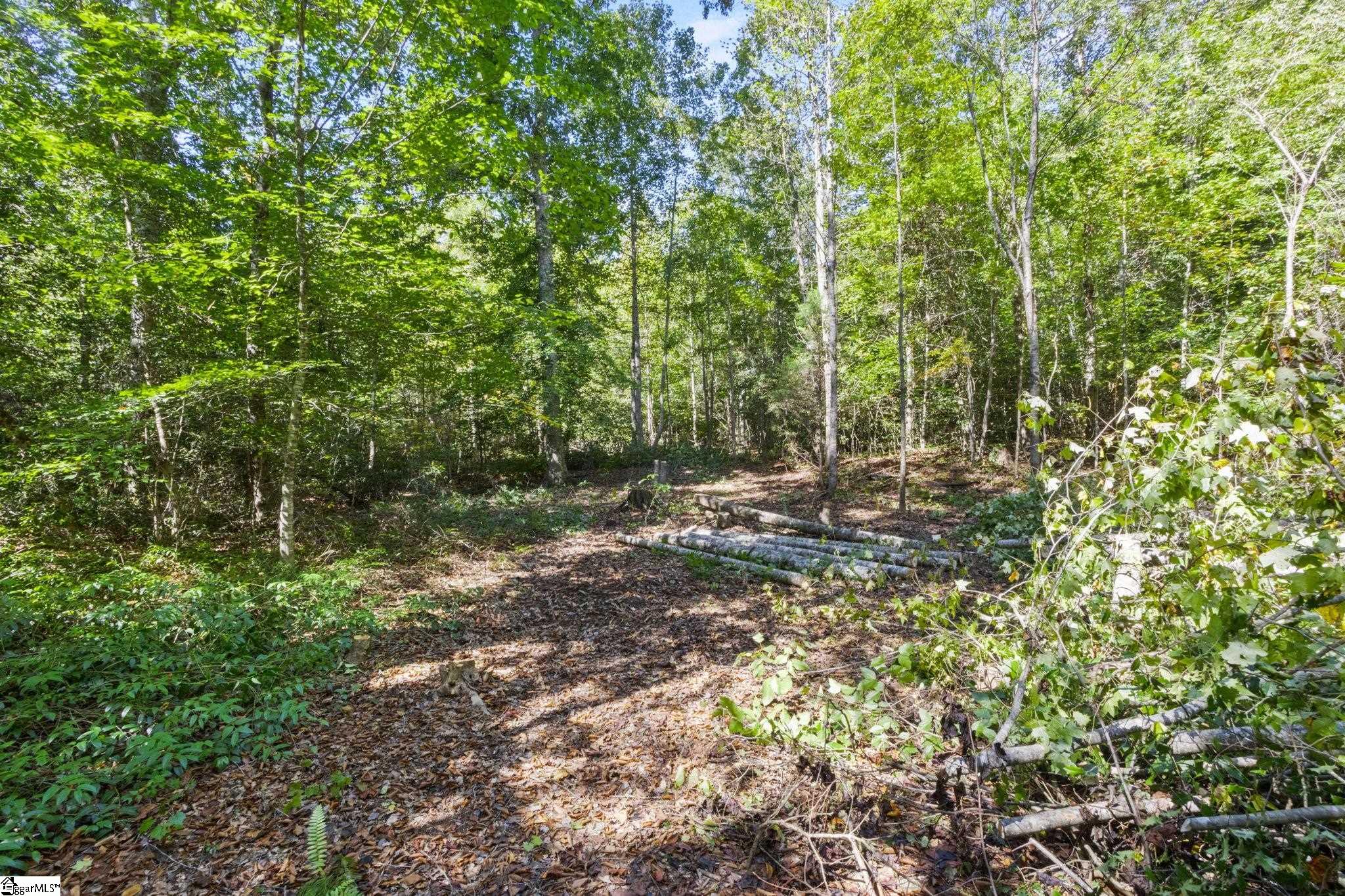 313 Arledge Road Property Photo 21