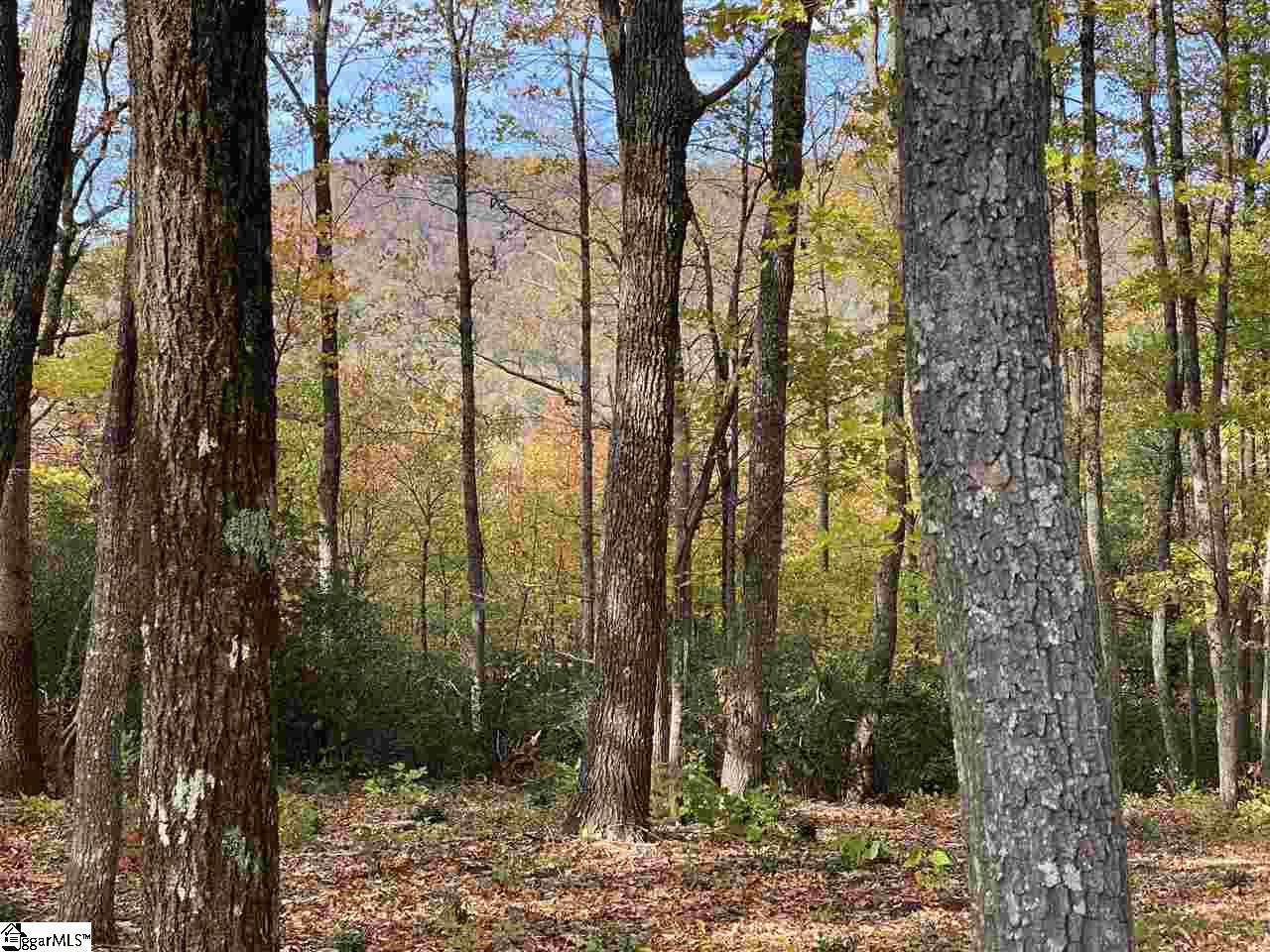 1526 Panther Park Trail Property Photo 2