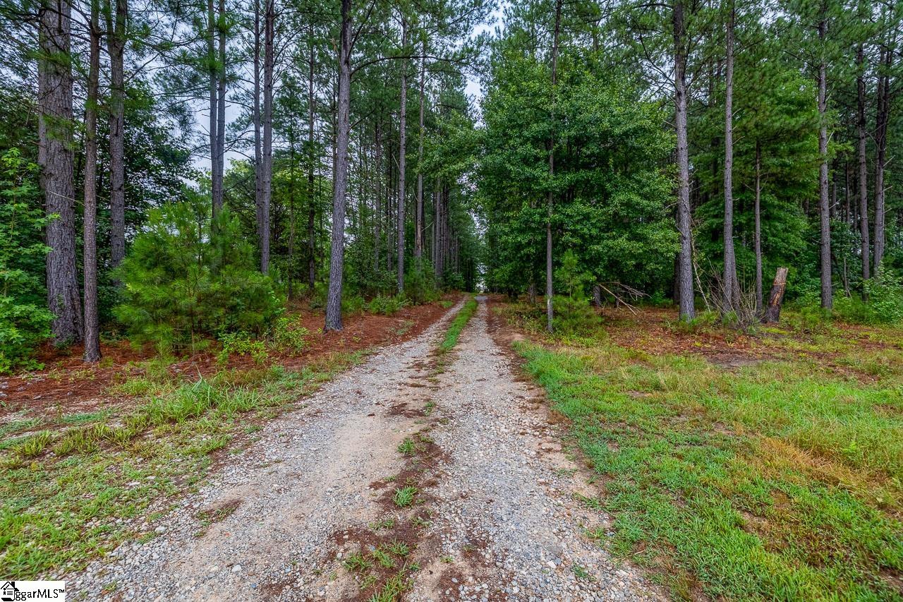 114 Tall Pines Road Property Photo 40