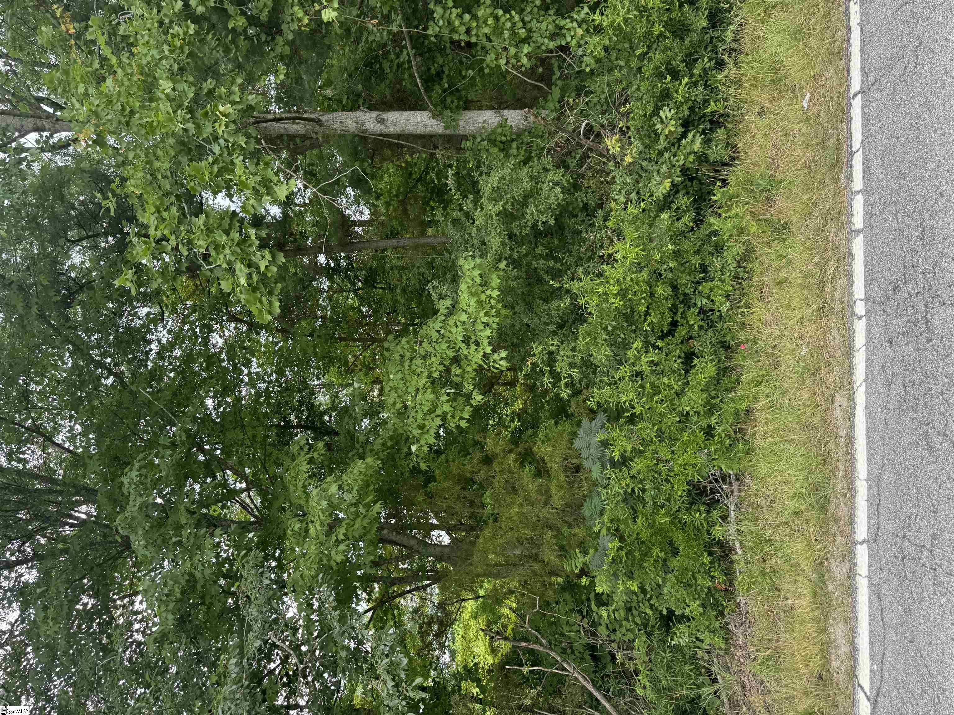 1593 Old Anderson Mill Road Property Photo 1