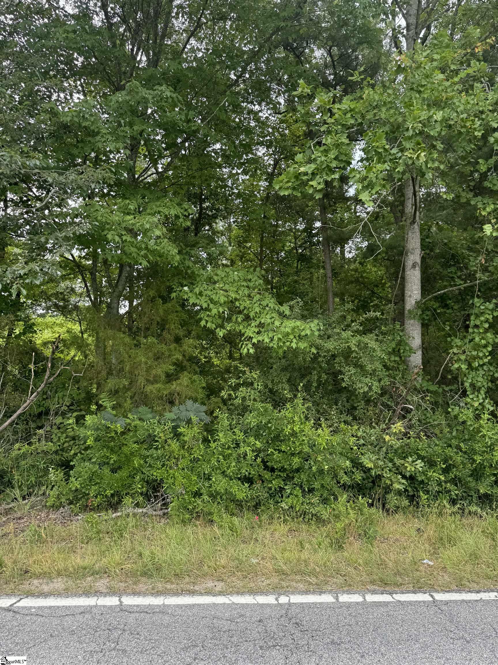 1599 Old Anderson Mill Road Property Photo 1