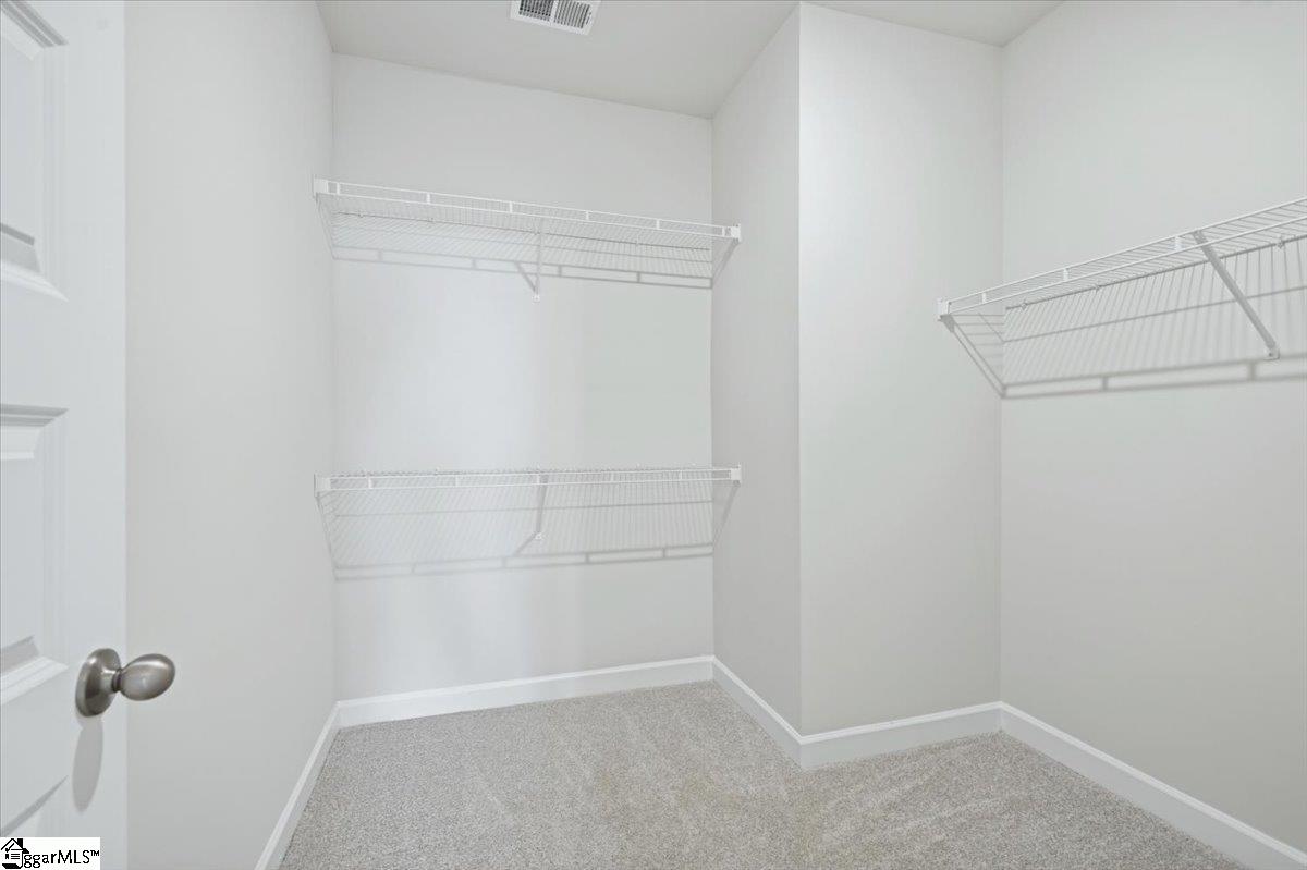 939 Rising Oak Court Property Photo 19