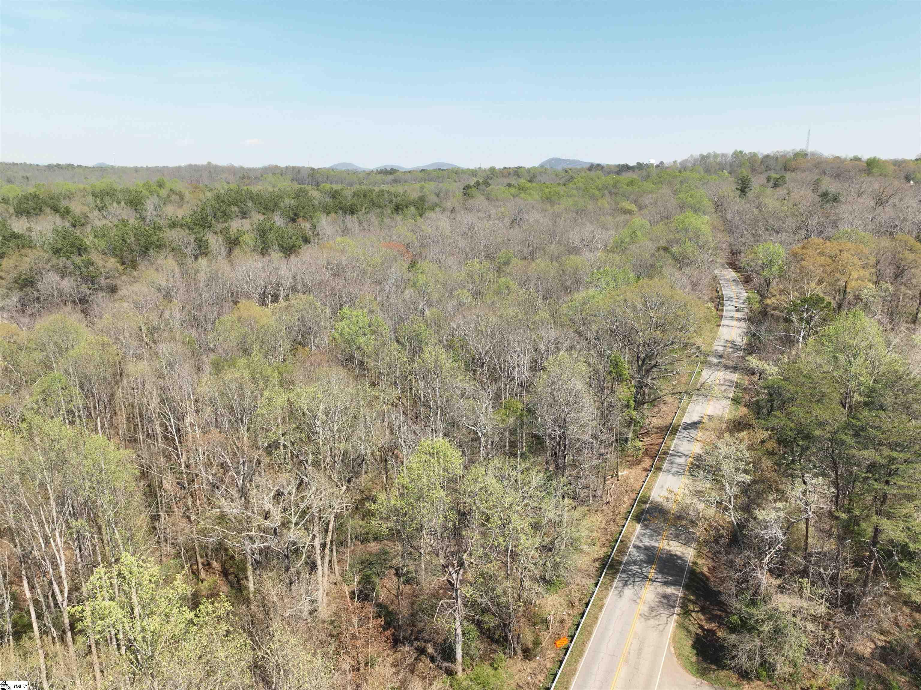 1240 Walhalla Highway Property Photo 4