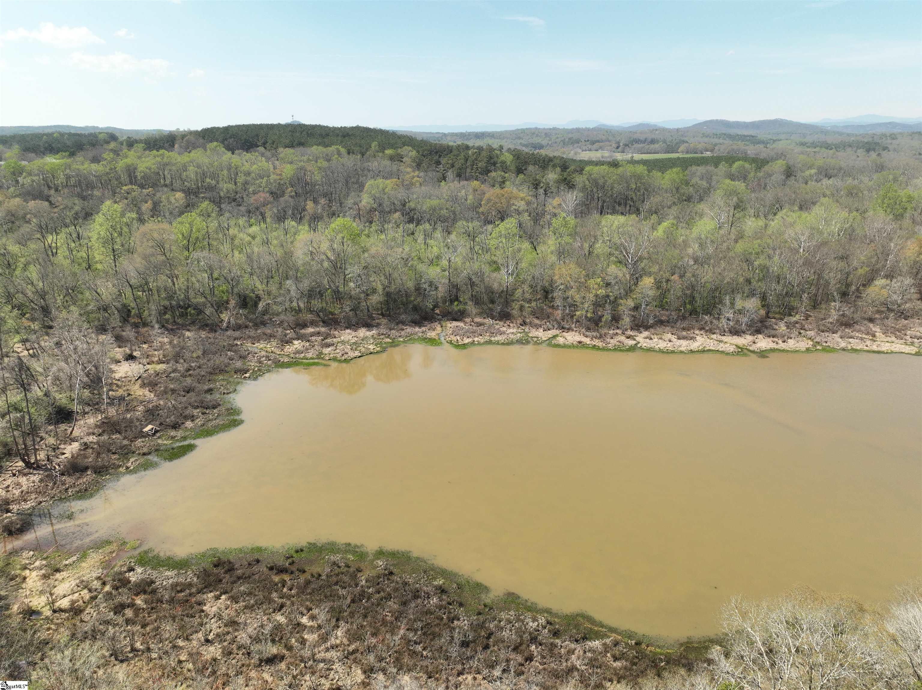 1240 Walhalla Highway Property Photo 7