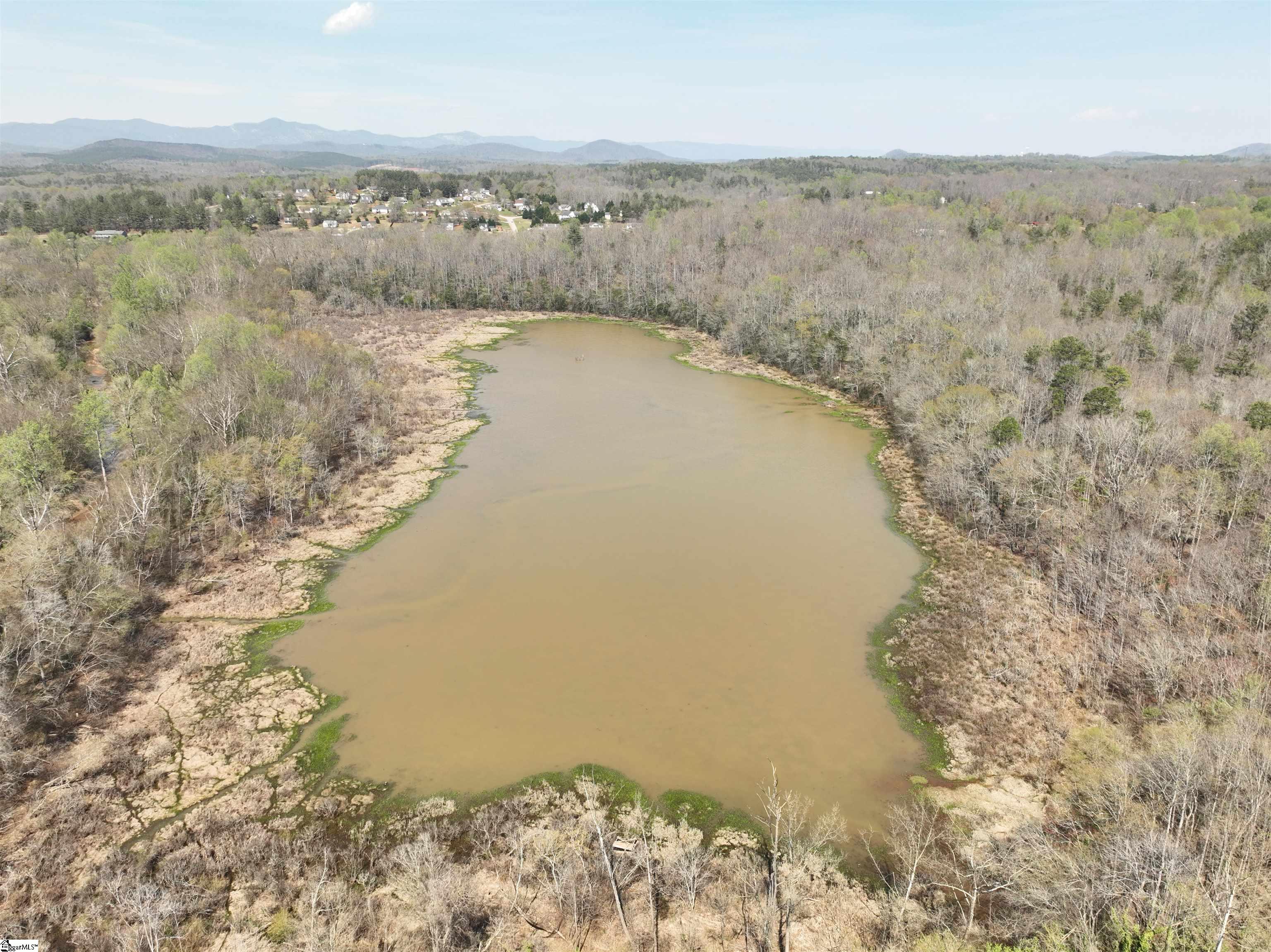 1240 Walhalla Highway Property Photo 8