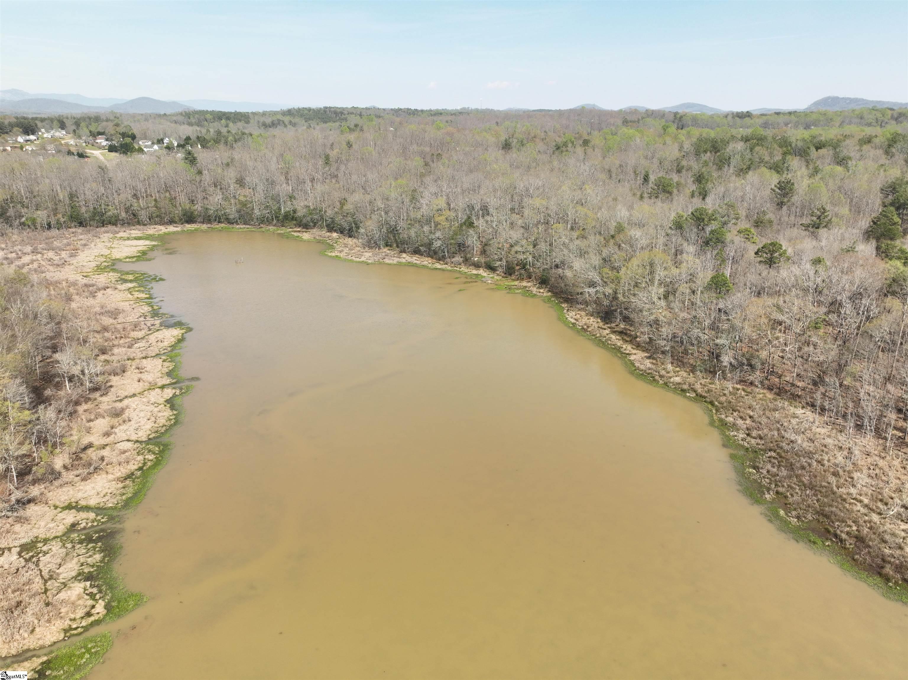 1240 Walhalla Highway Property Photo 10