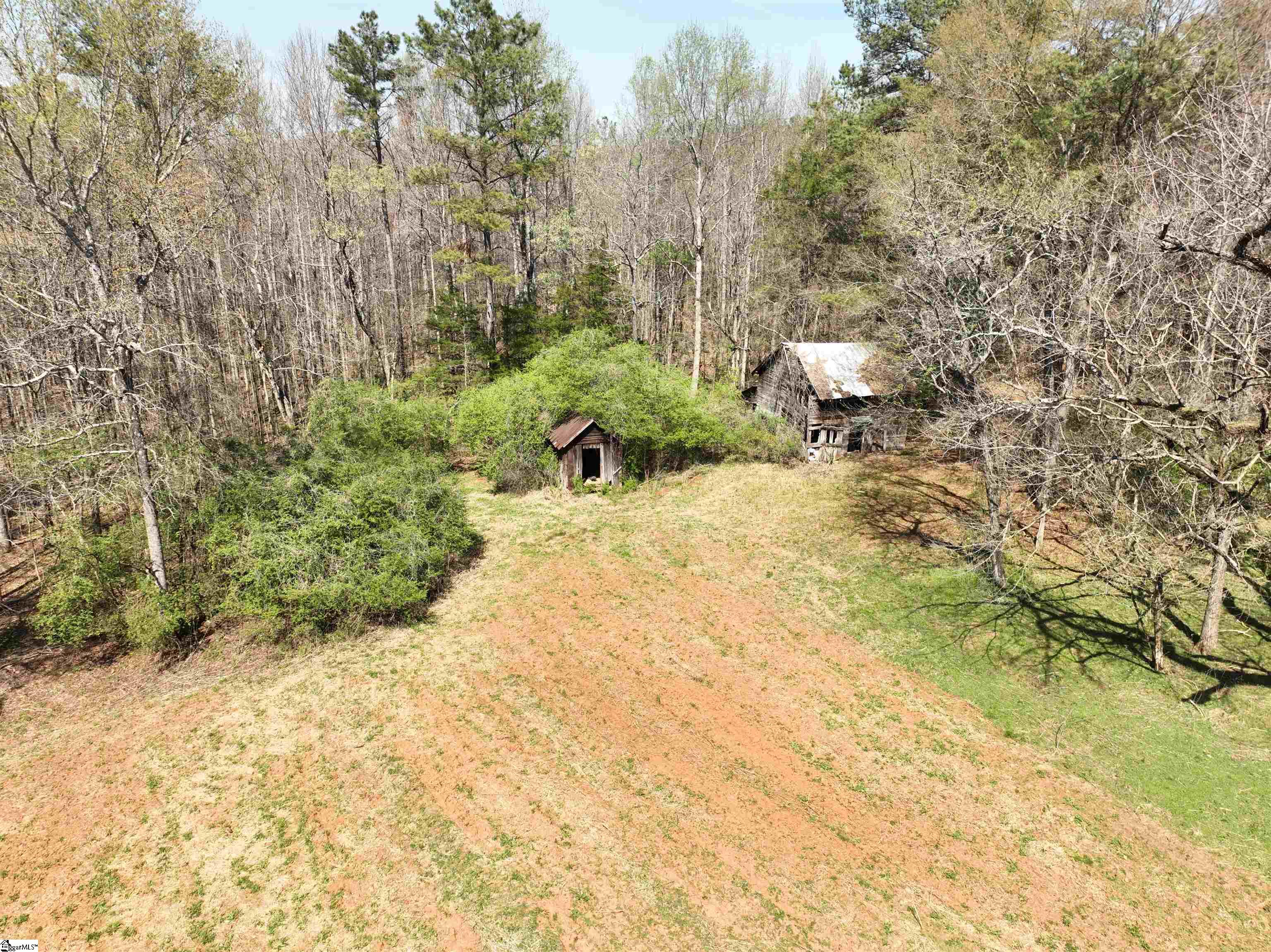 1240 Walhalla Highway Property Photo 12