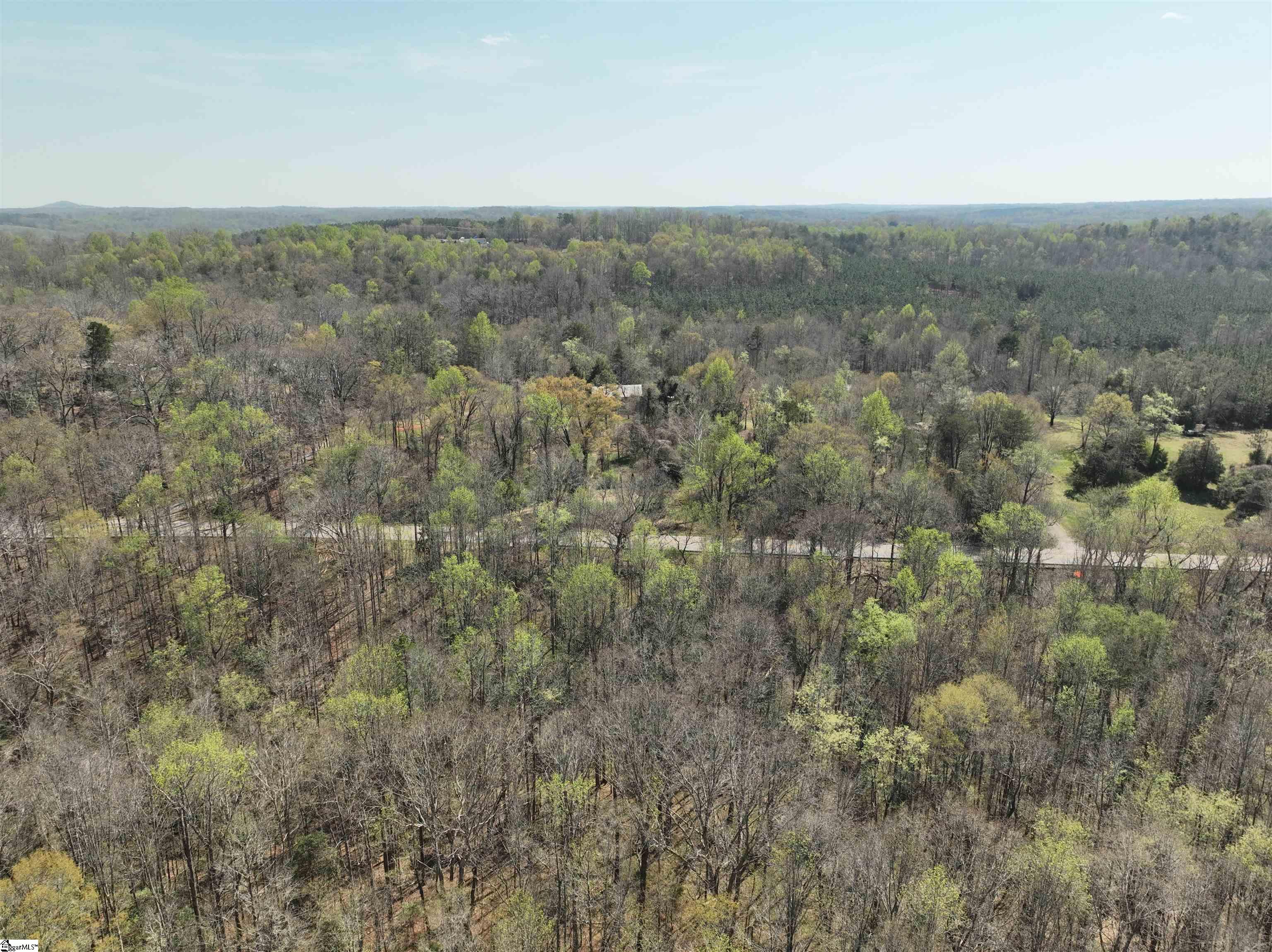 1240 Walhalla Highway Property Photo 13