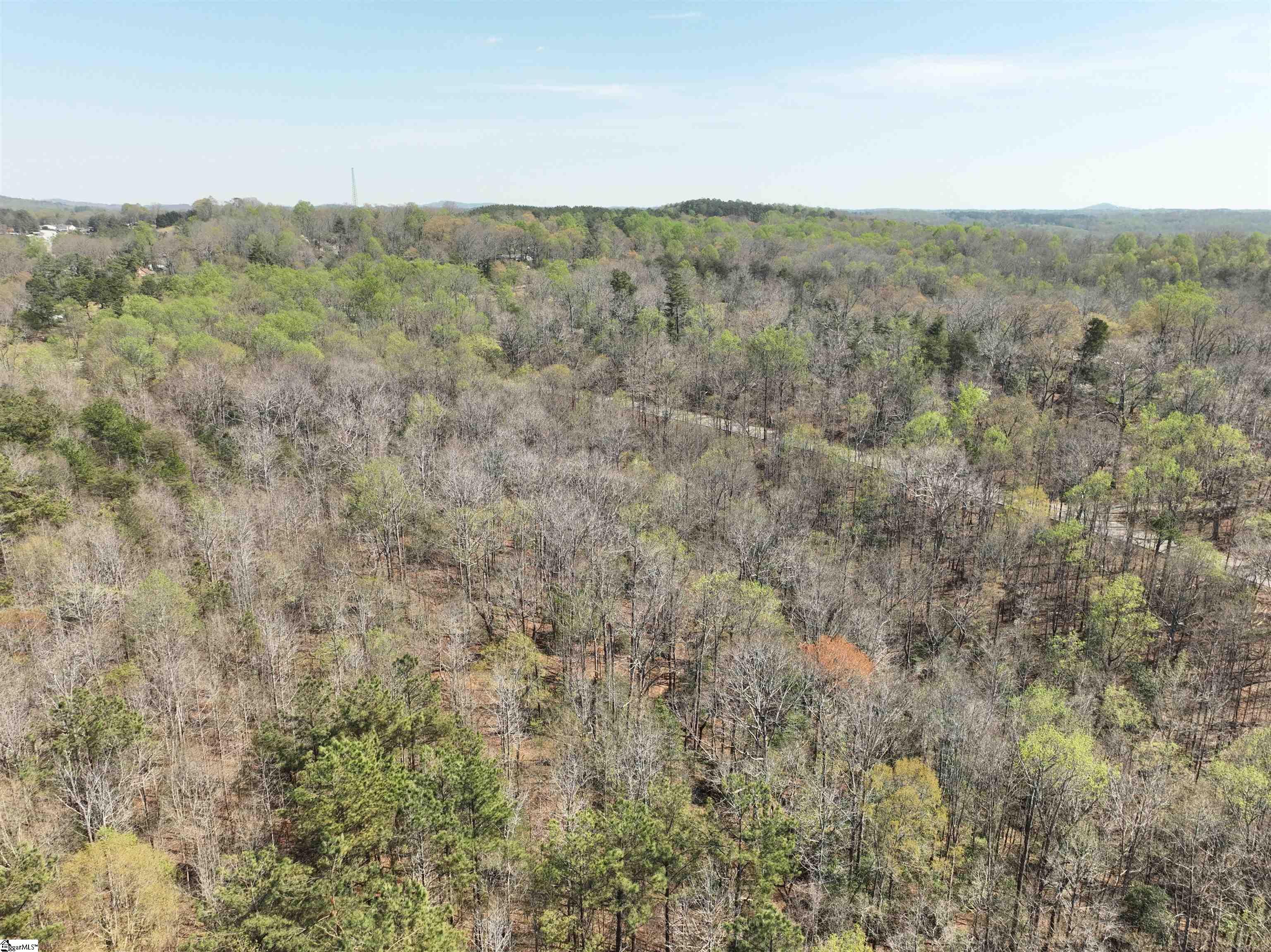 1240 Walhalla Highway Property Photo 14