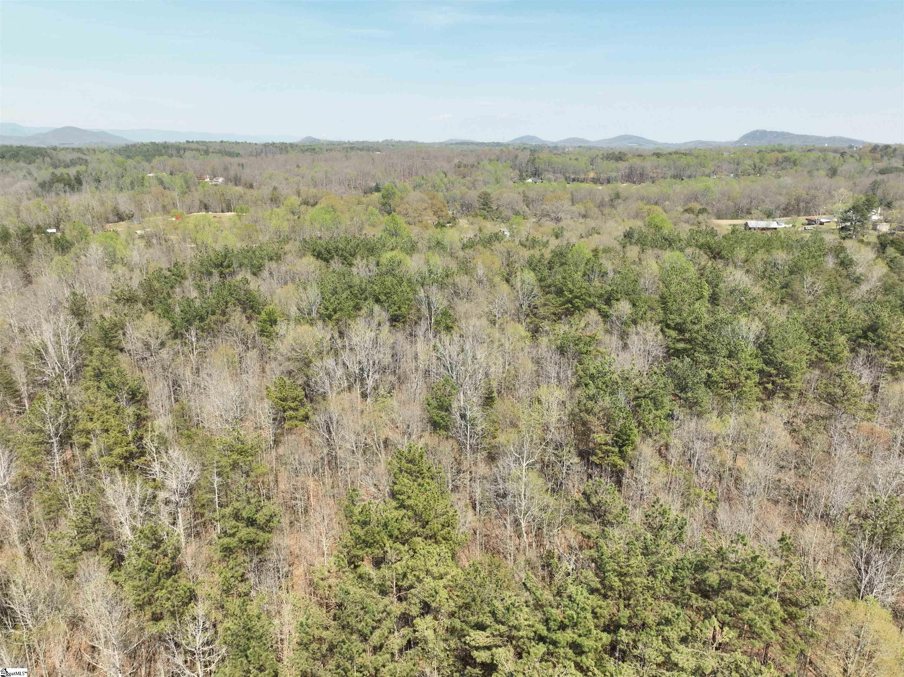 1240 Walhalla Highway Property Photo 15