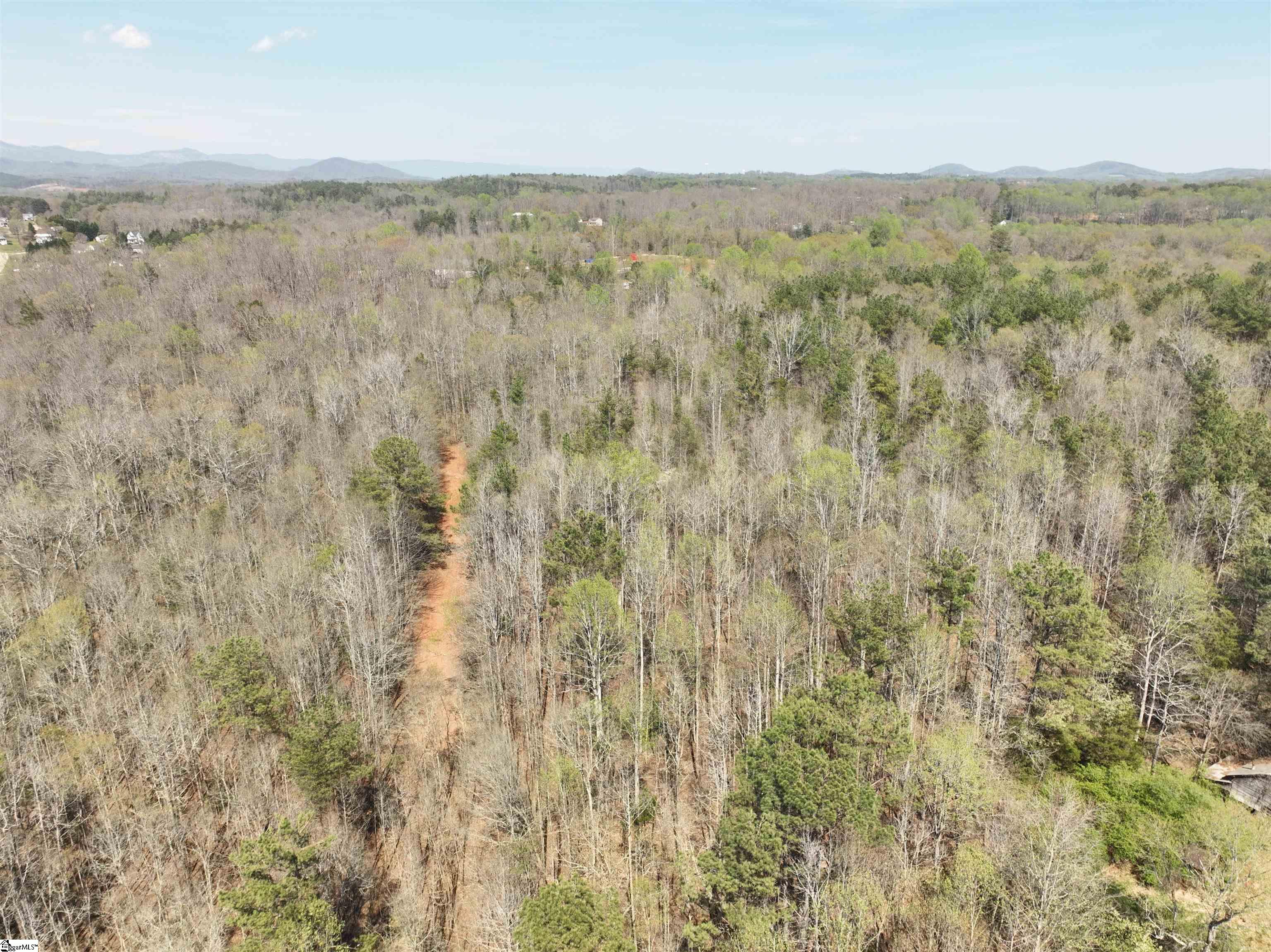 1240 Walhalla Highway Property Photo 17