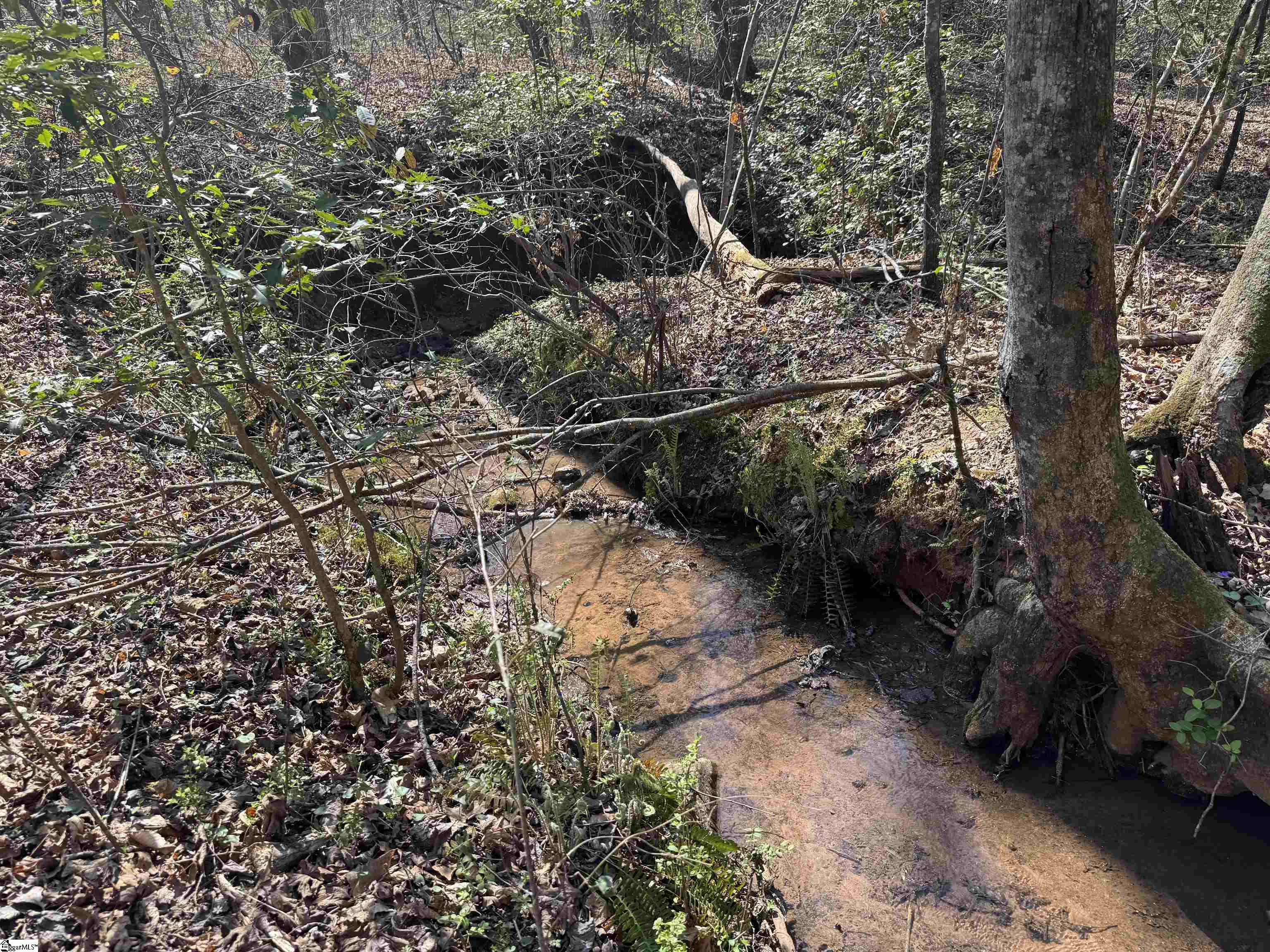 1240 Walhalla Highway Property Photo 25