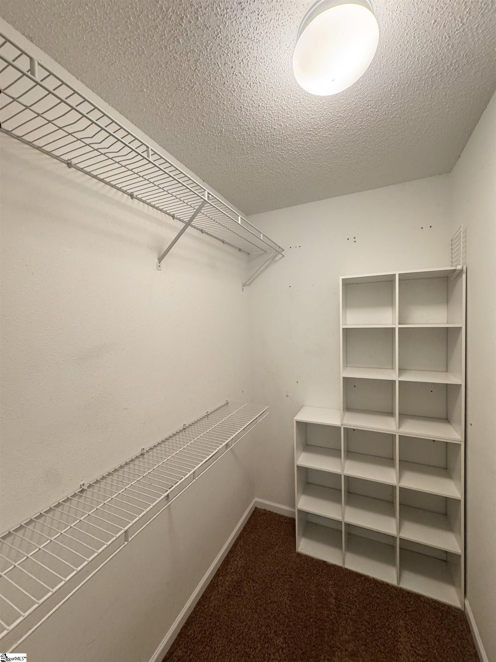 209 Winding Willow Trail Property Photo 14
