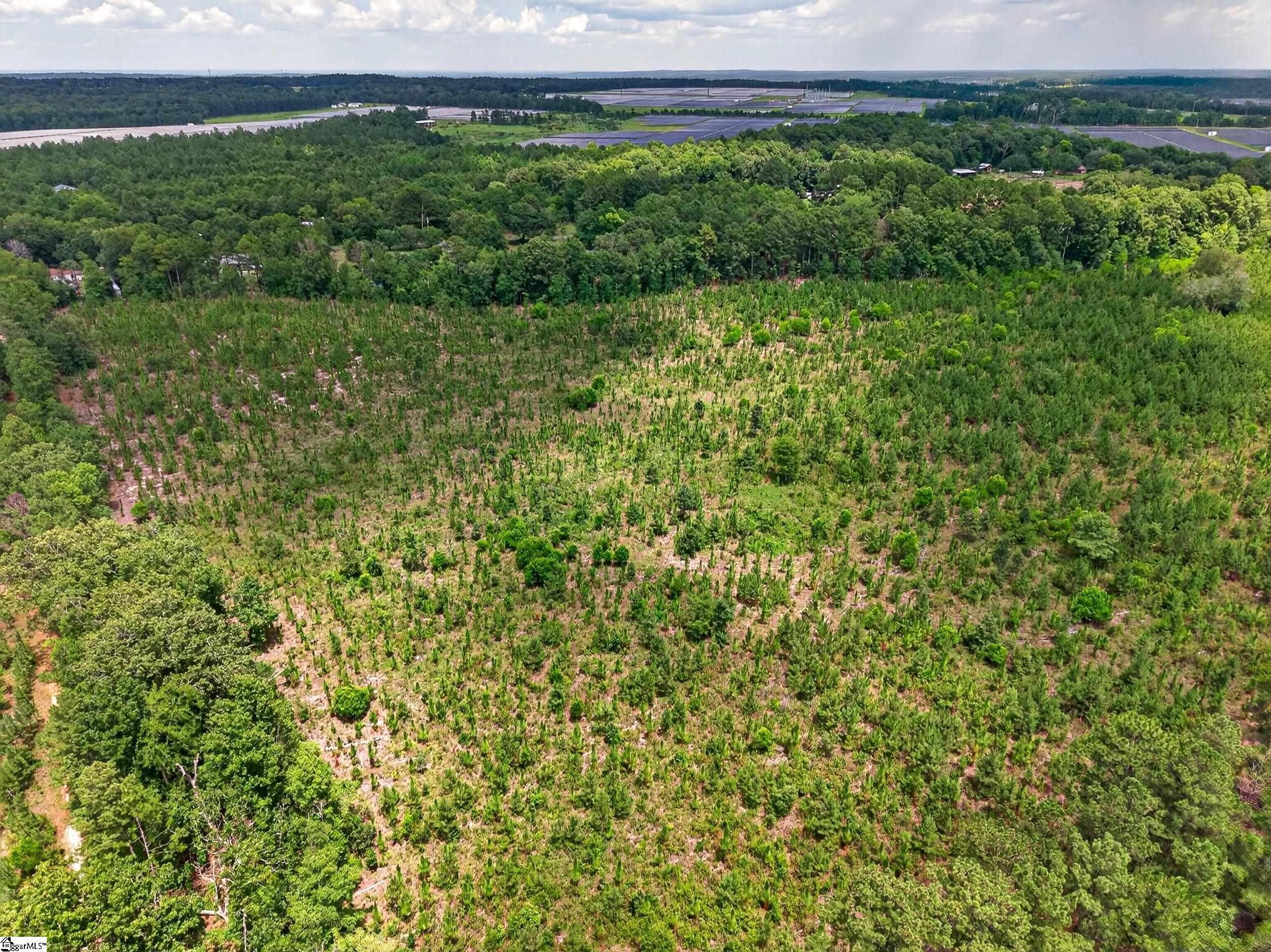 Charlie Rast Road Property Photo 4