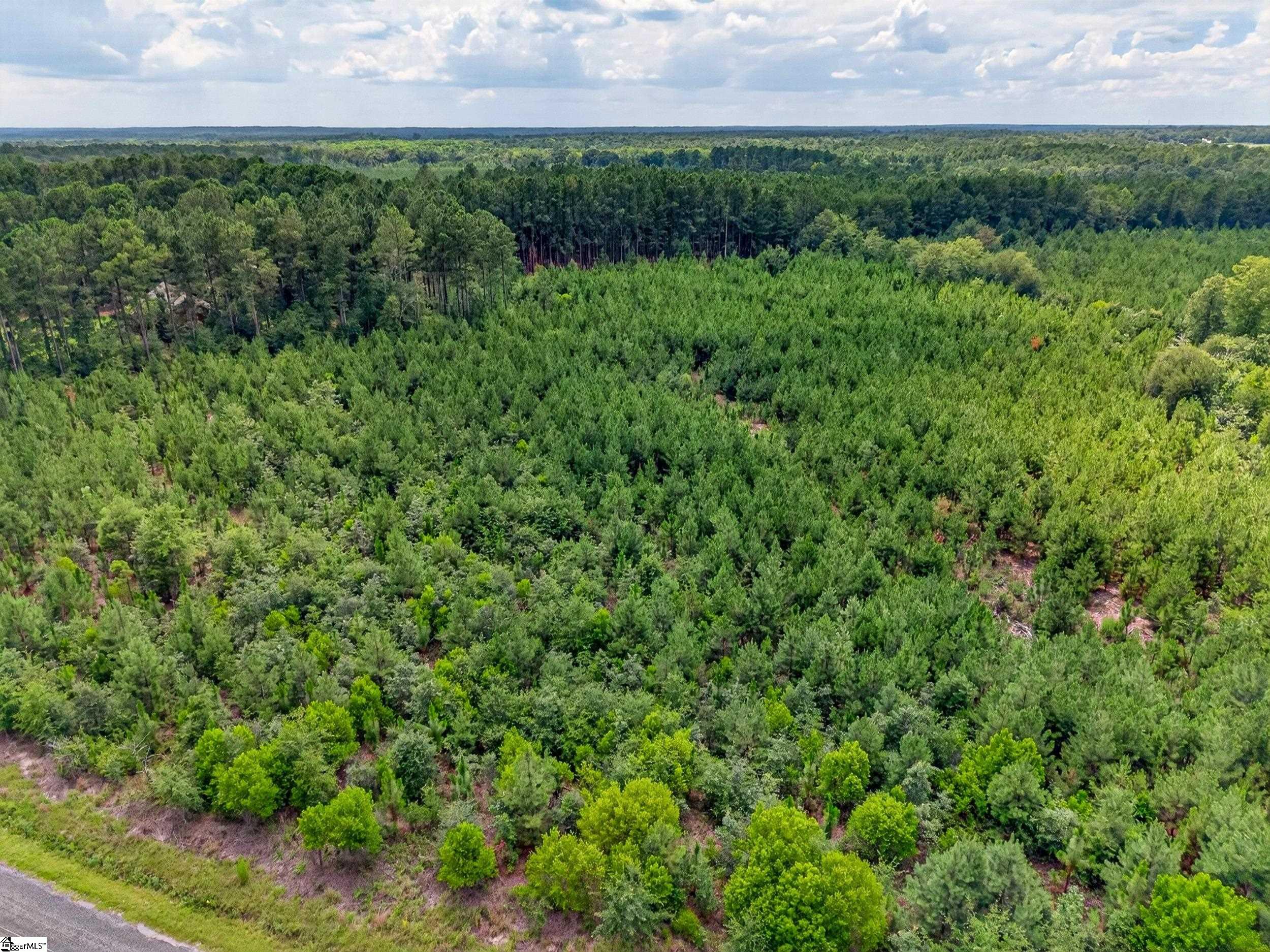 Charlie Rast Road Property Photo 4