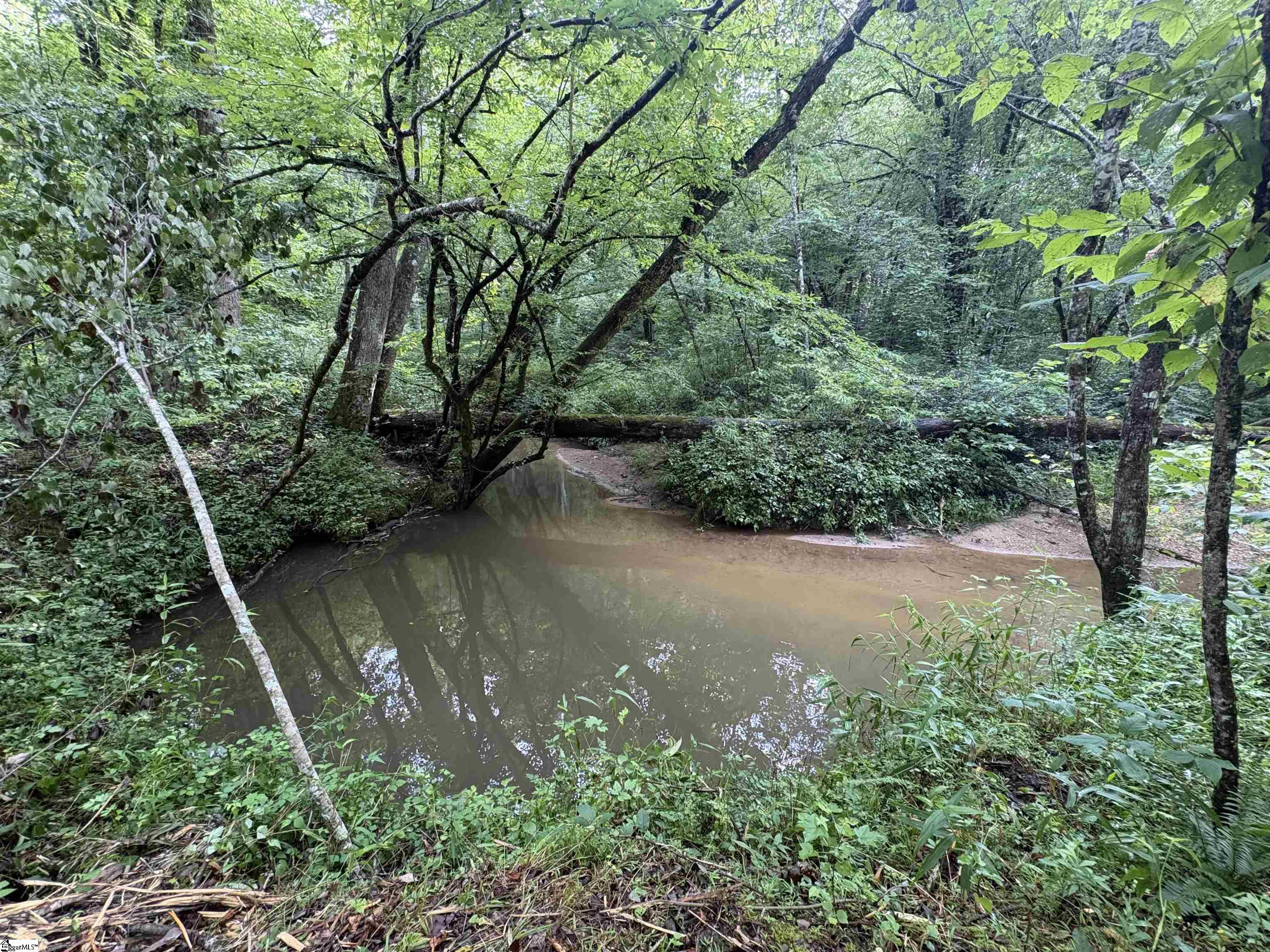 00 N Little River Road Property Photo 3