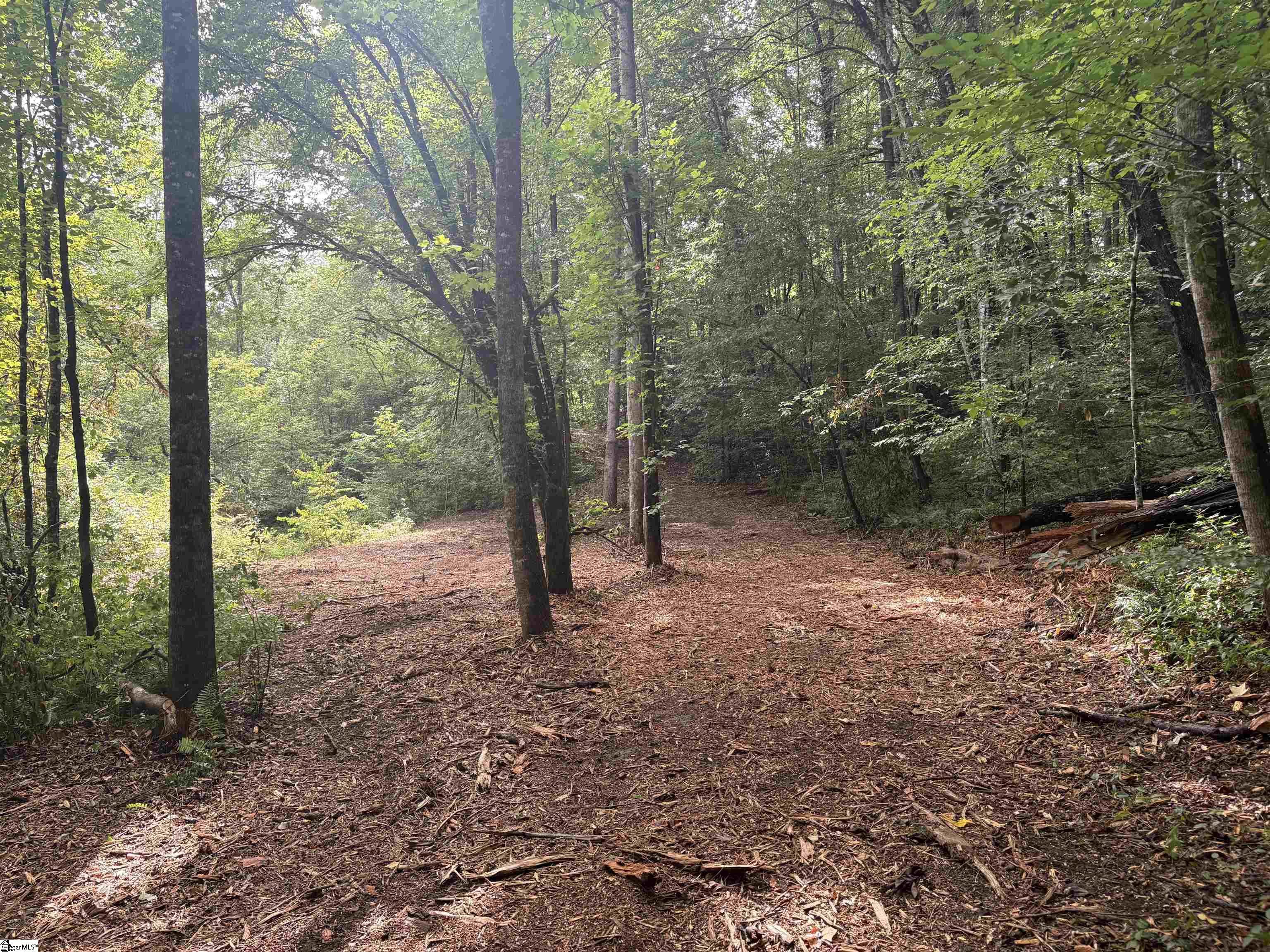 00 N Little River Road Property Photo 5
