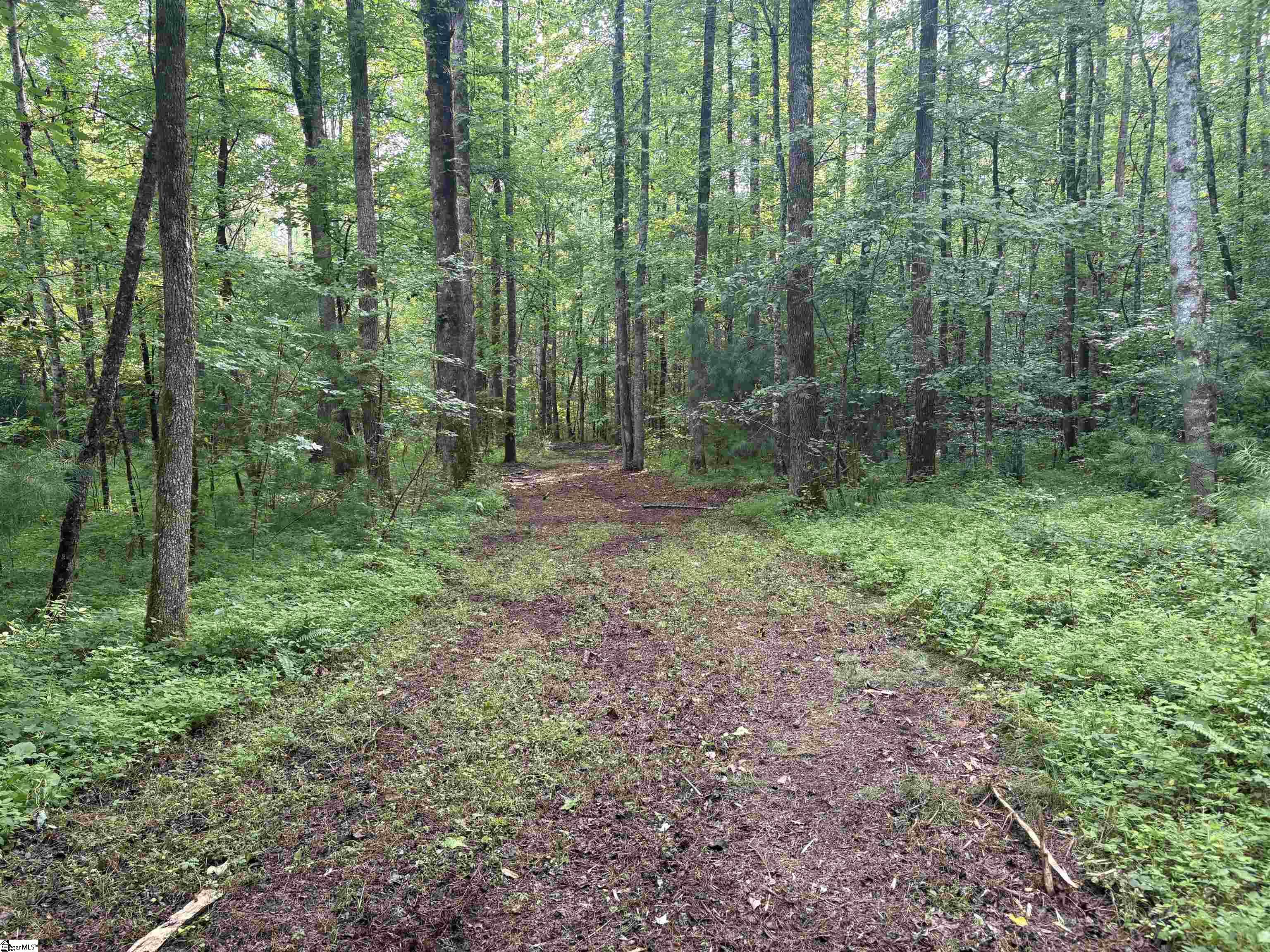 00 N Little River Road Property Photo 6